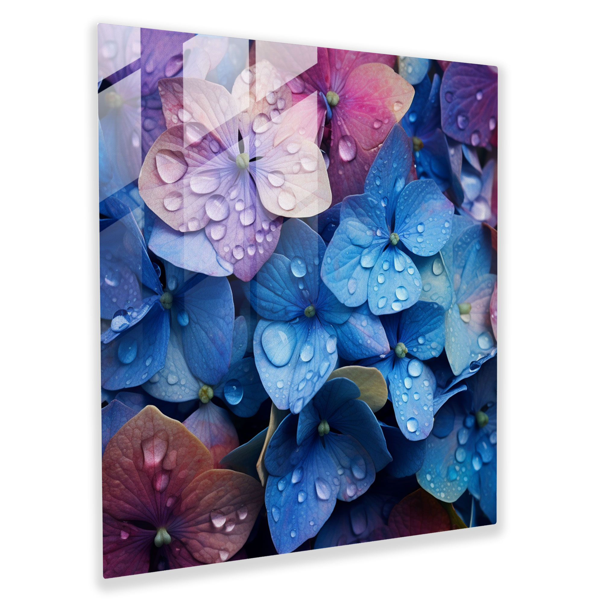 Vibrant Hydrangea Glass Print - Hydrangea, Home Decoration, Glass Print, Vibrant