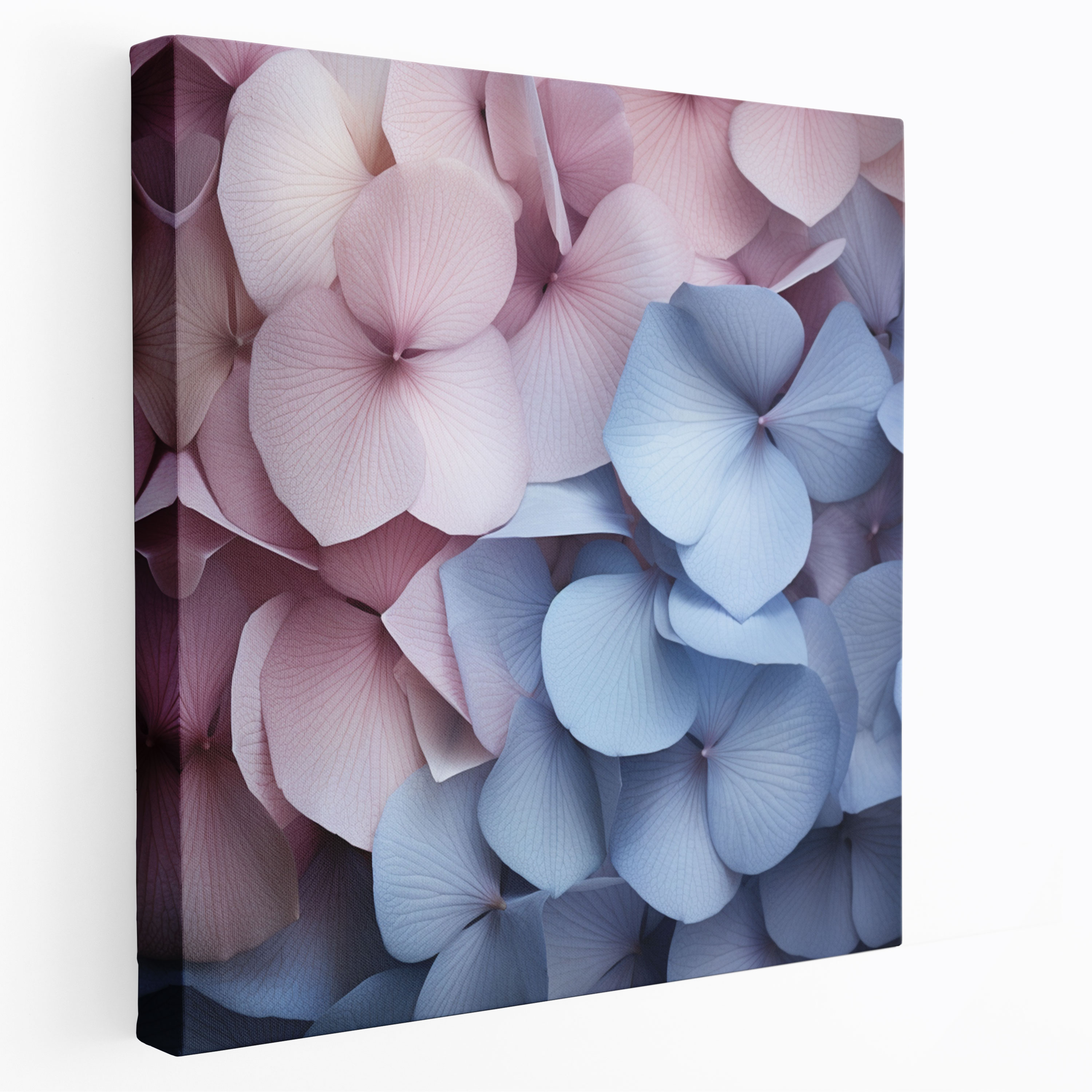 Hydrangea Petals Photography Wall Art - Hydrangea, Intricate Details, Canvas, Contemporary Photography