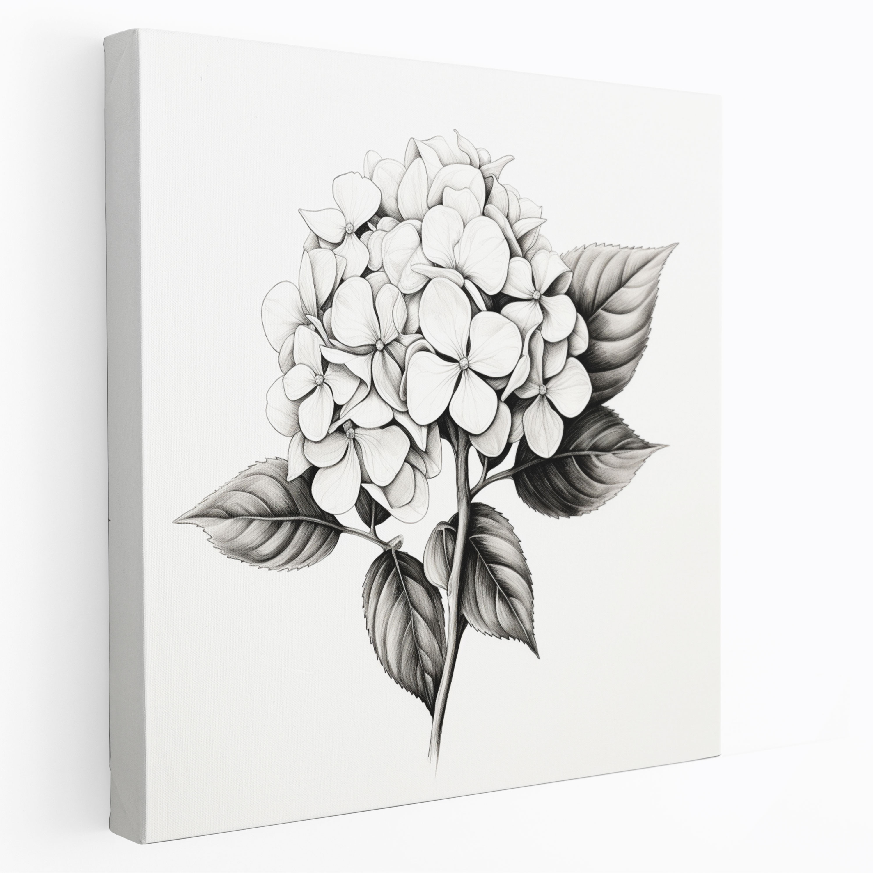 Hydrangea Sketch Canvas Print - Hydrangea, Home Decoration, Black And White Sketch, Wall Art
