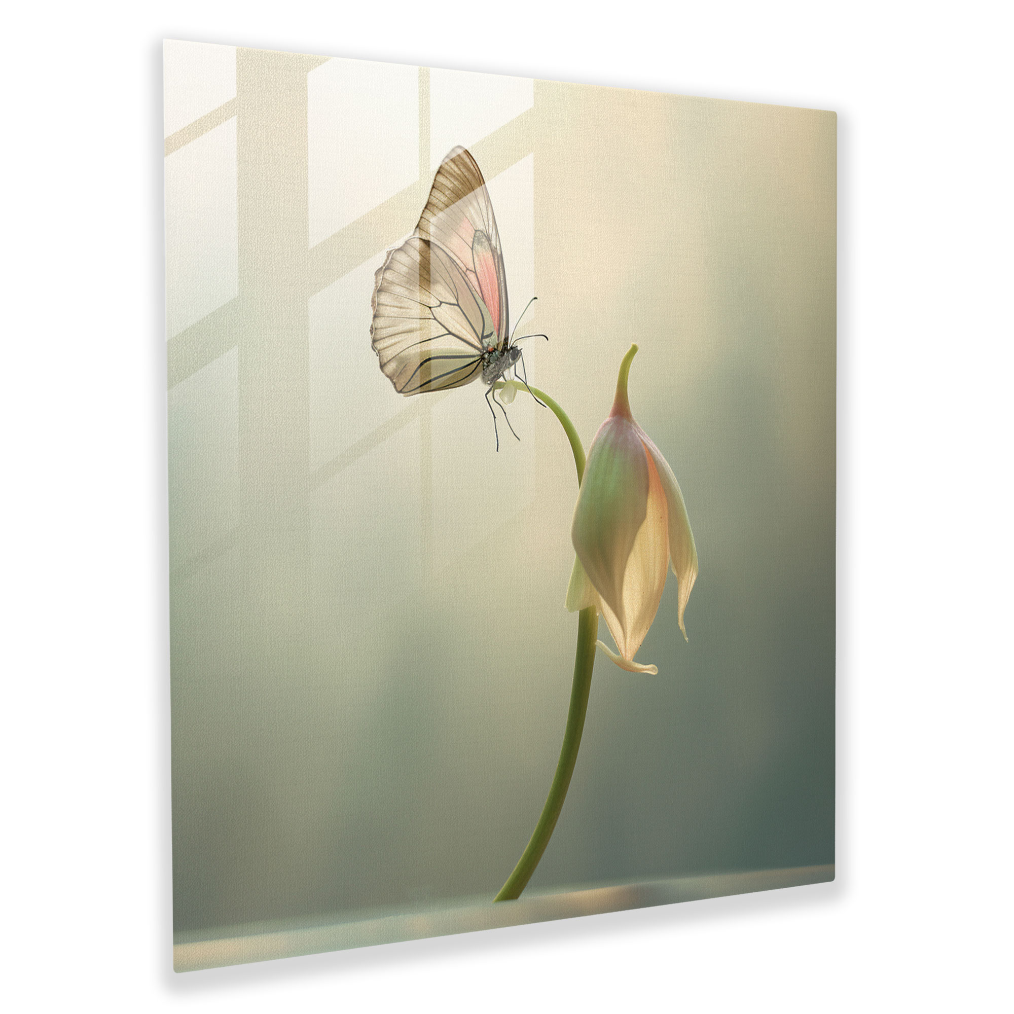 Kiss Of Nature Glass Print - Kiss, Glass Print, Nature-Inspired, Kiss