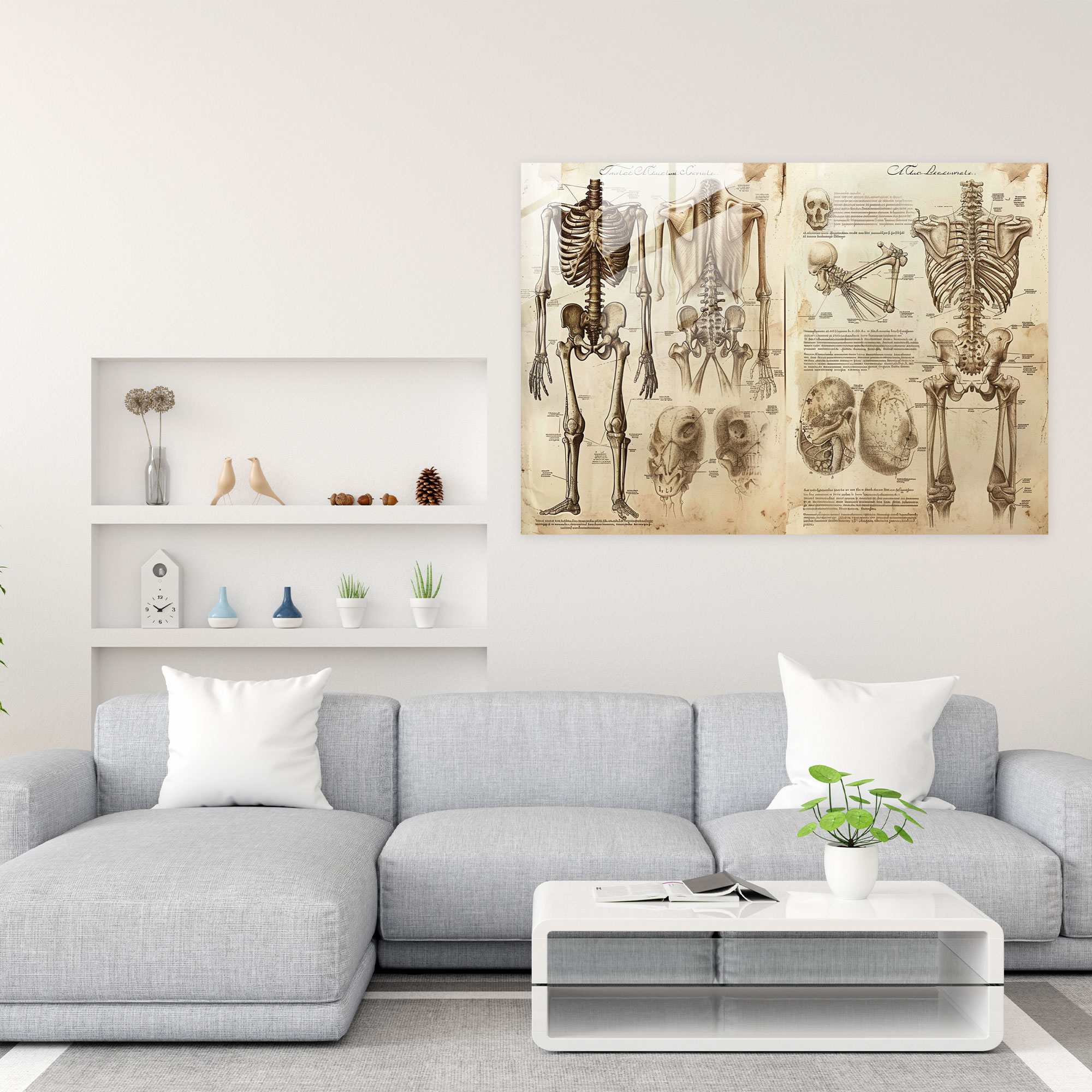 Leonardo Da Vinci Glass Print - Human Anatomy Studies - Leonardo Da Vinci, Wall Decoration, Modern Art, Leonardo Da Vinci