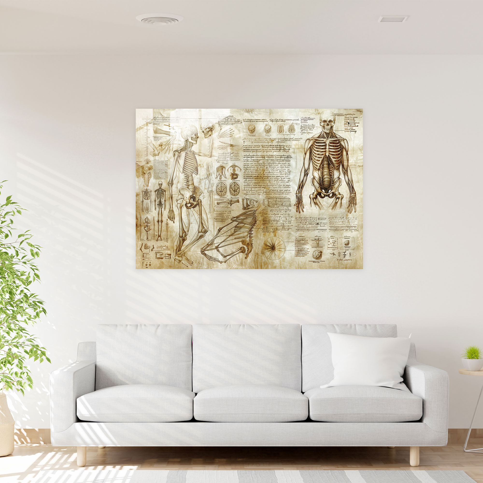 Anatomical Sketch Glass Print Home Decoration - Leonardo Da Vinci, Wall Decoration, Leonardo Da Vinci, Home Decoration