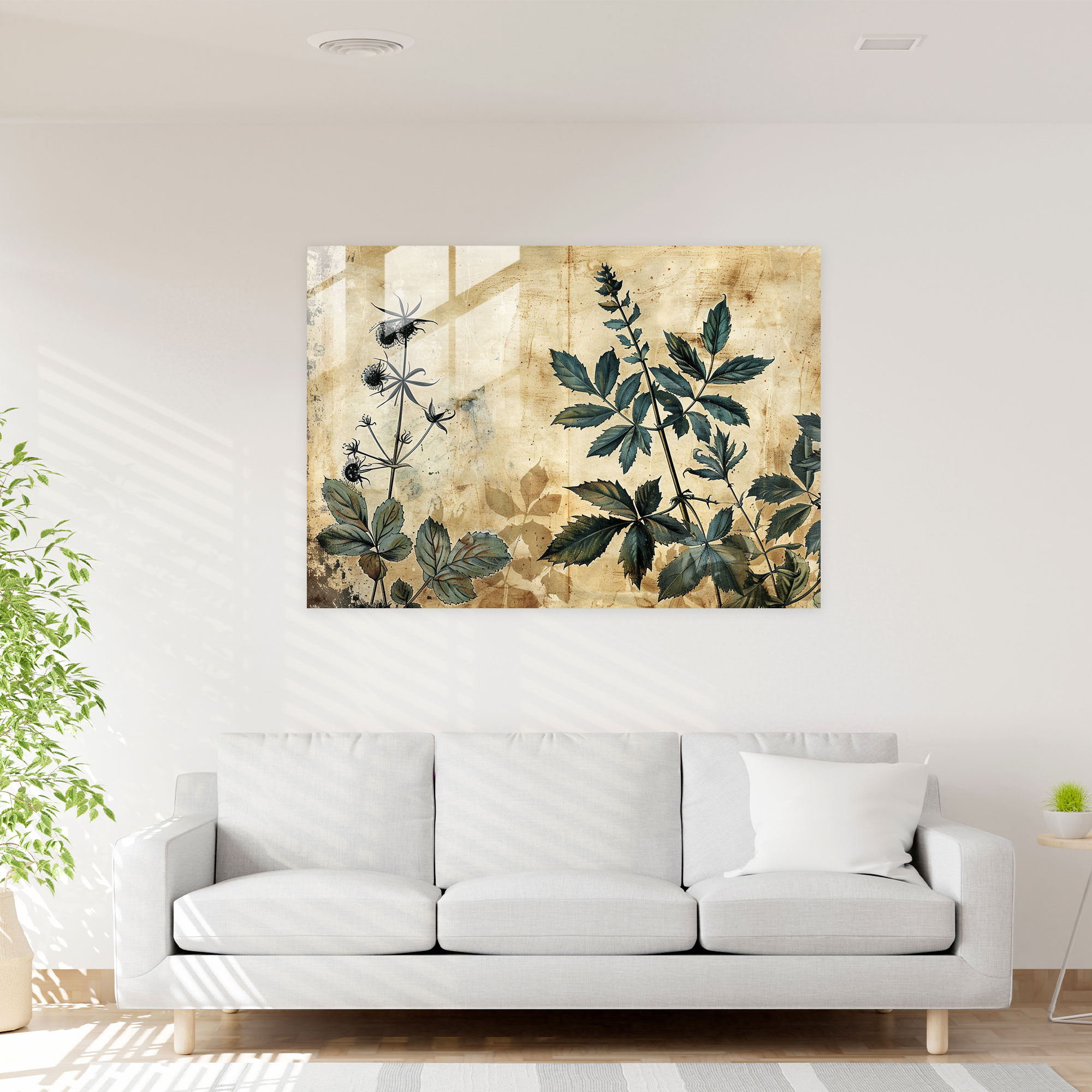 Leonardo Da Vinci Wall Decoration - Leonardo Da Vinci, Glass Print, Realistic Botanical Illustration, Glass Wall Art