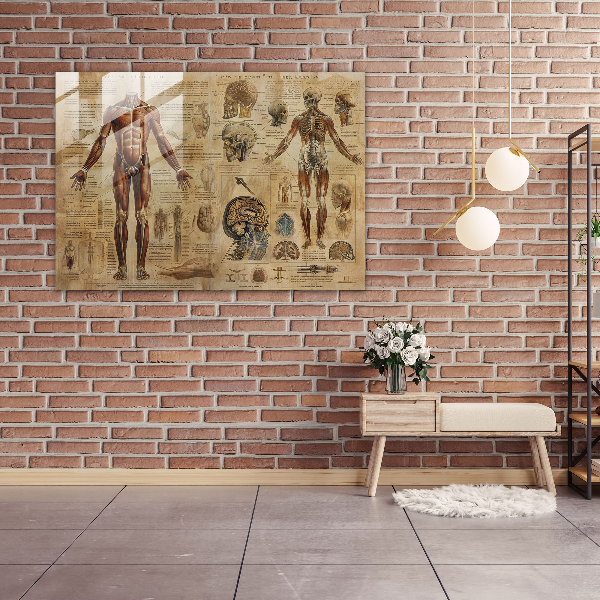 Anatomy Study Glass Print - Leonardo Da Vinci, Glass Art, Glass Wall Art, Glass Print
