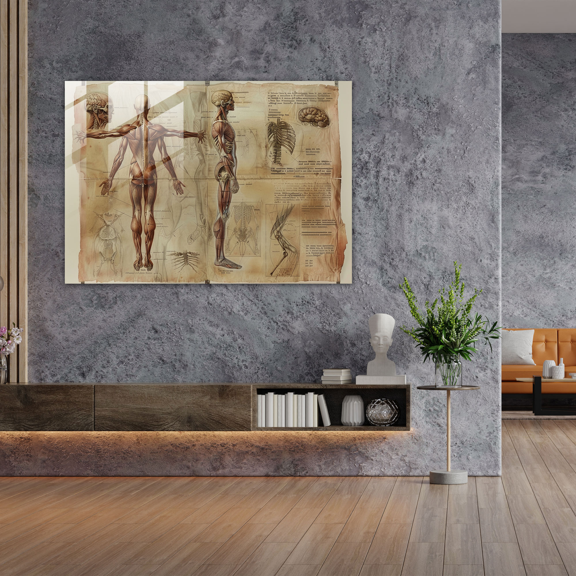 Male Anatomy Glass Print - Leonardo Da Vinci, Leonardo Da Vinci, Glass Print, Wall Decoration