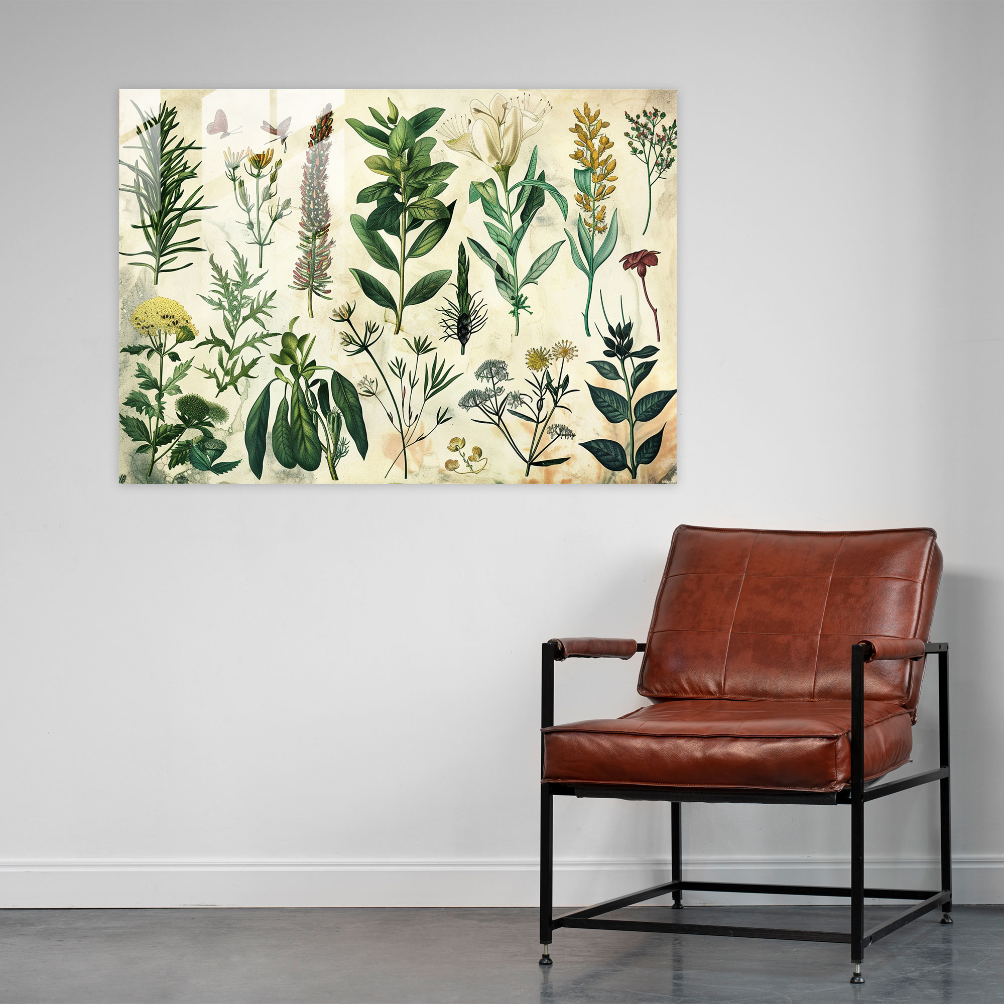 Leonardo Da Vinci Glass Print - Leonardo Da Vinci, Botanical Illustration, Plant Species, Glass Print