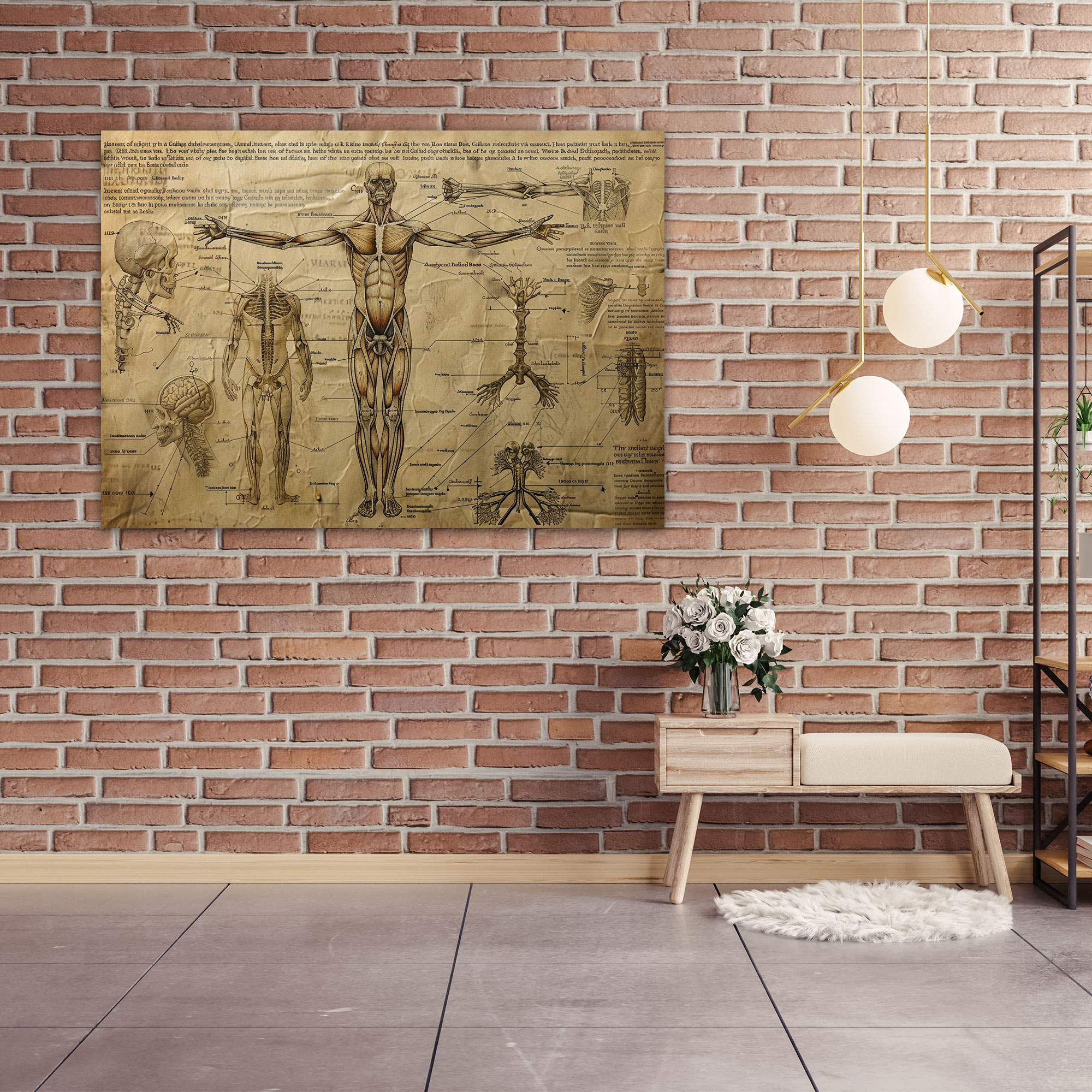 Leonardo Da Vinci Canvas Print - Leonardo Da Vinci, Canvas, Anatomy, Wall Art