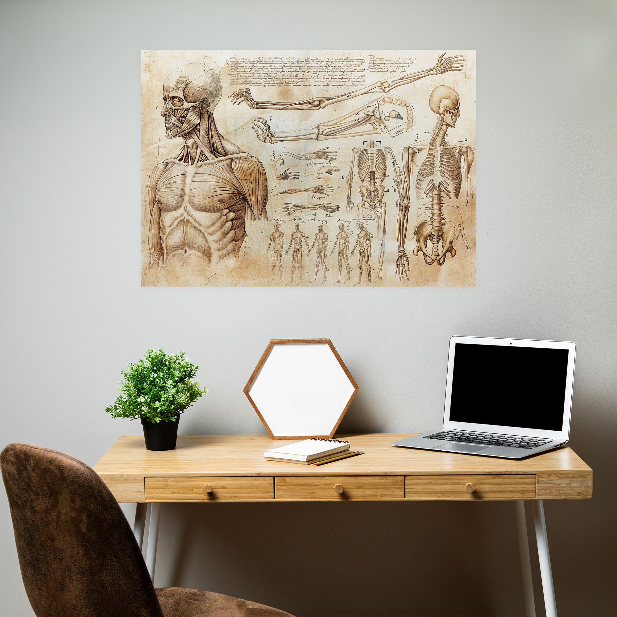 Leonardo Da Vinci Anatomisi Kanvas Tablo - Leonardo Da Vinci Duvar Sanatı Kanvas