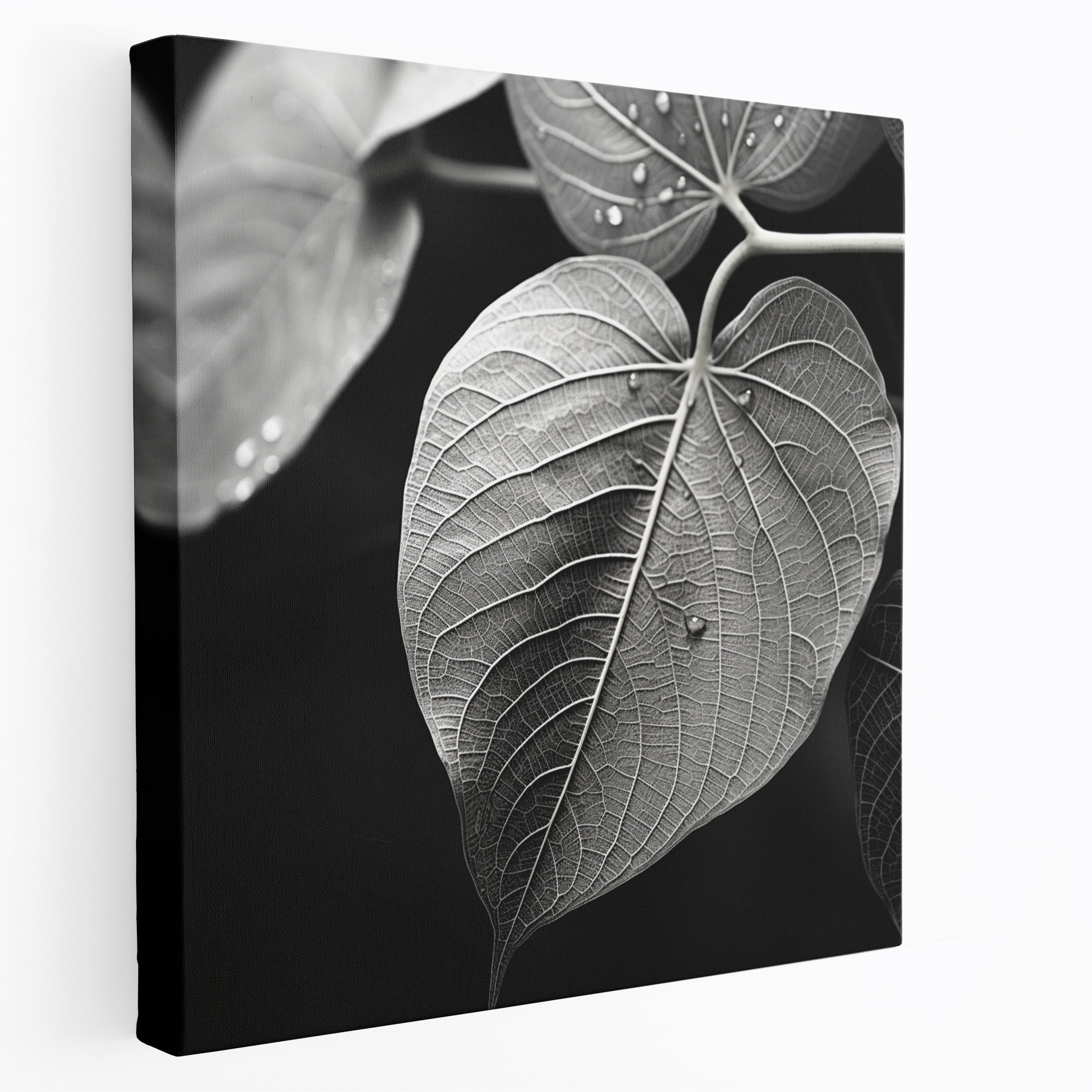 Delicate Leaves Canvas Print - Leaves, Canvas Wall Art, Close-Up Capture, Leaves