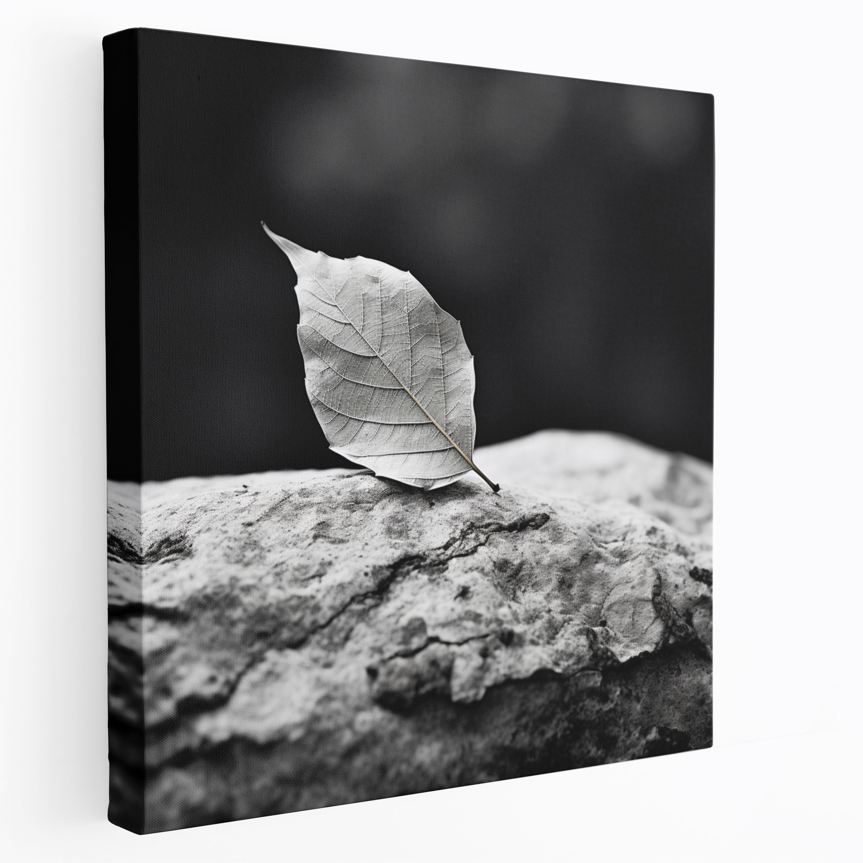 Leaves Canvas Print - Minimalist Black And White Leaf Wall Art - Leaves, Leaves, Leaf, Canvas Print