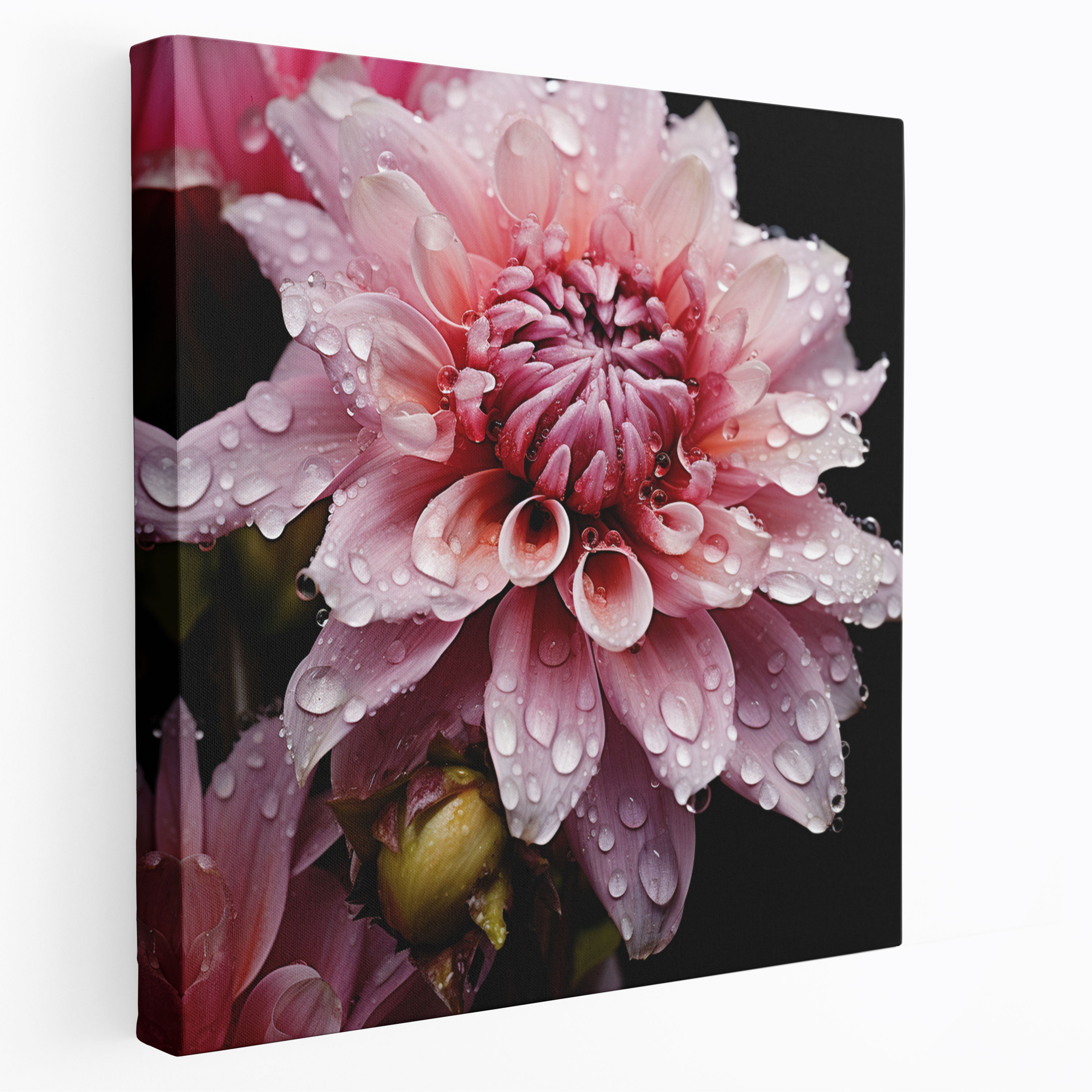 Lenticular Leinwandbild: Blühende Details - Lenticular Blühende Blumen Nahaufnahme Fotografie Leinwand