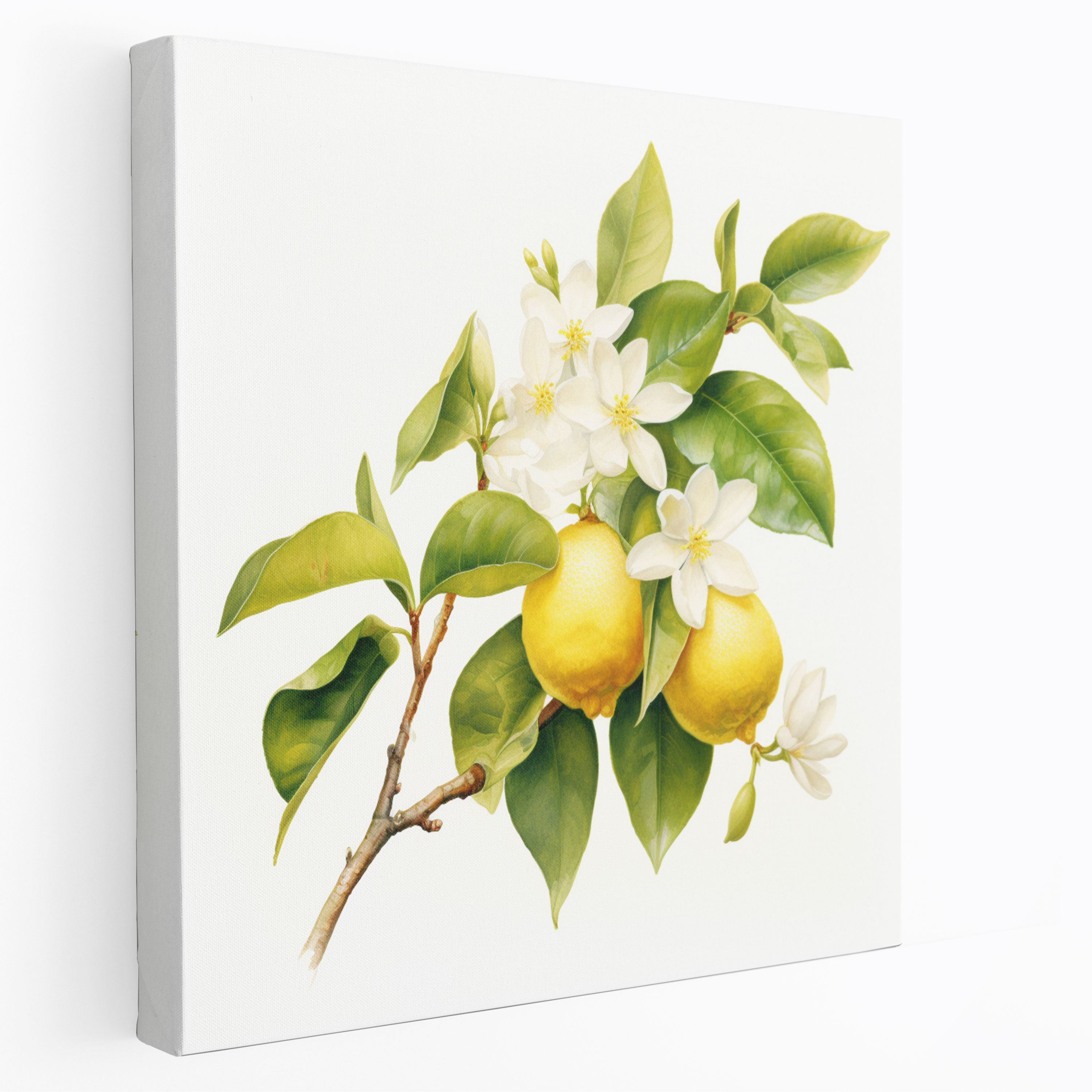 Lemon Tree Blossom Wall Art - Lemon Tree, Fragility, Nature, Canvas