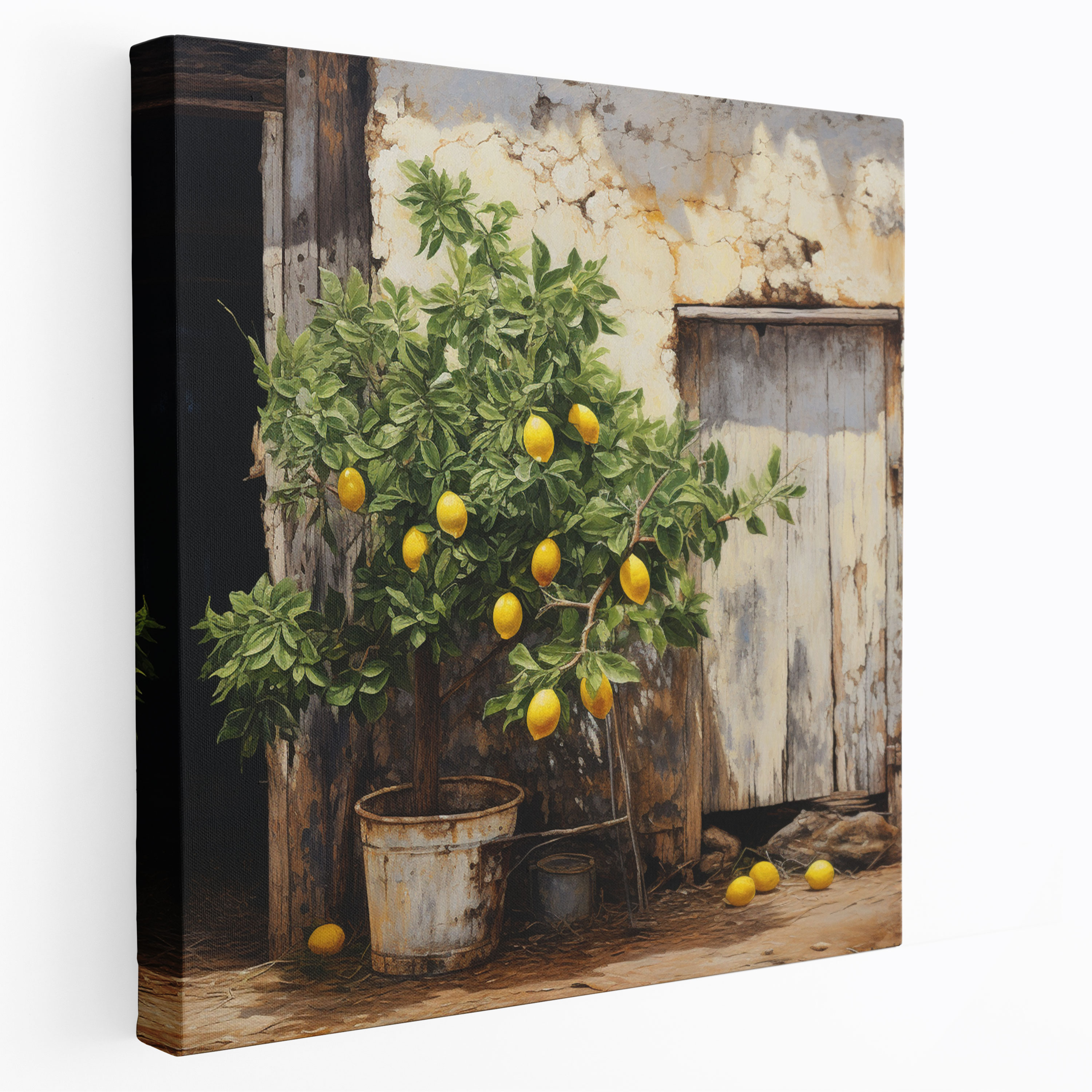 Lemon Tree Canvas Print - Lemon Tree, Canvas Print, Wall Art, Rustic Charm