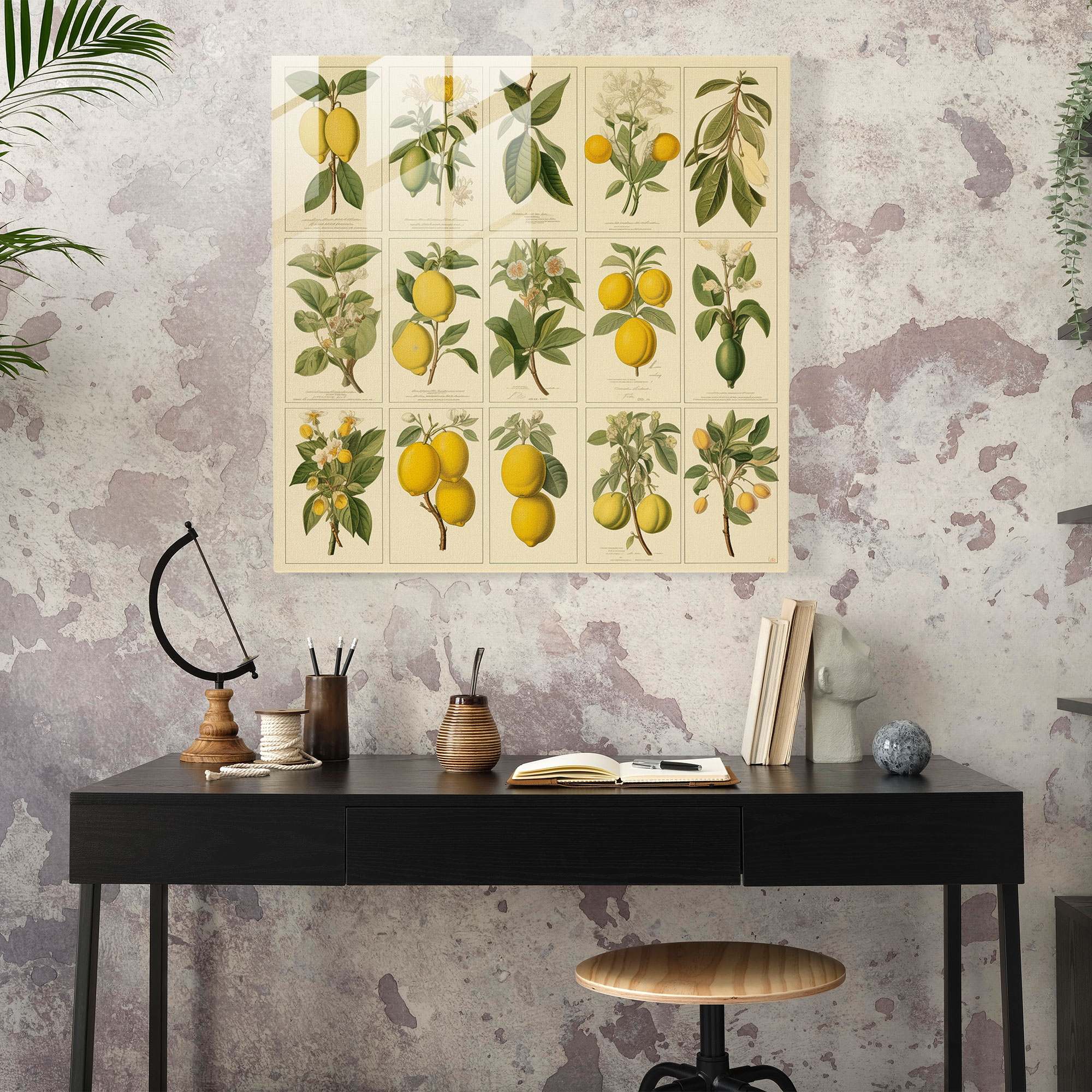Vintage Lemon Tree Glass Print - Lemon Tree, Glass Wall Art, Glass Art, Vintage Prints