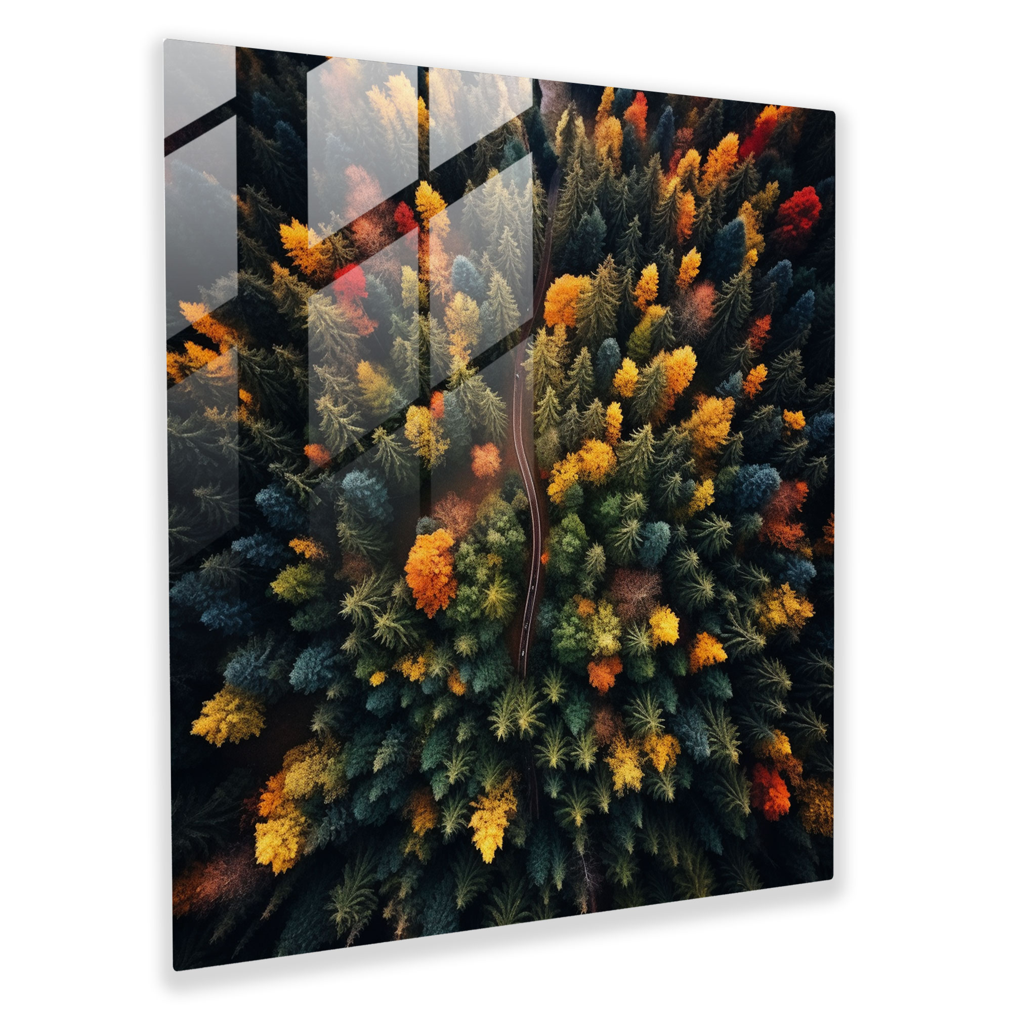 Aerial Leaves Glass Print - Leaves, Forests, Leaves, Nature