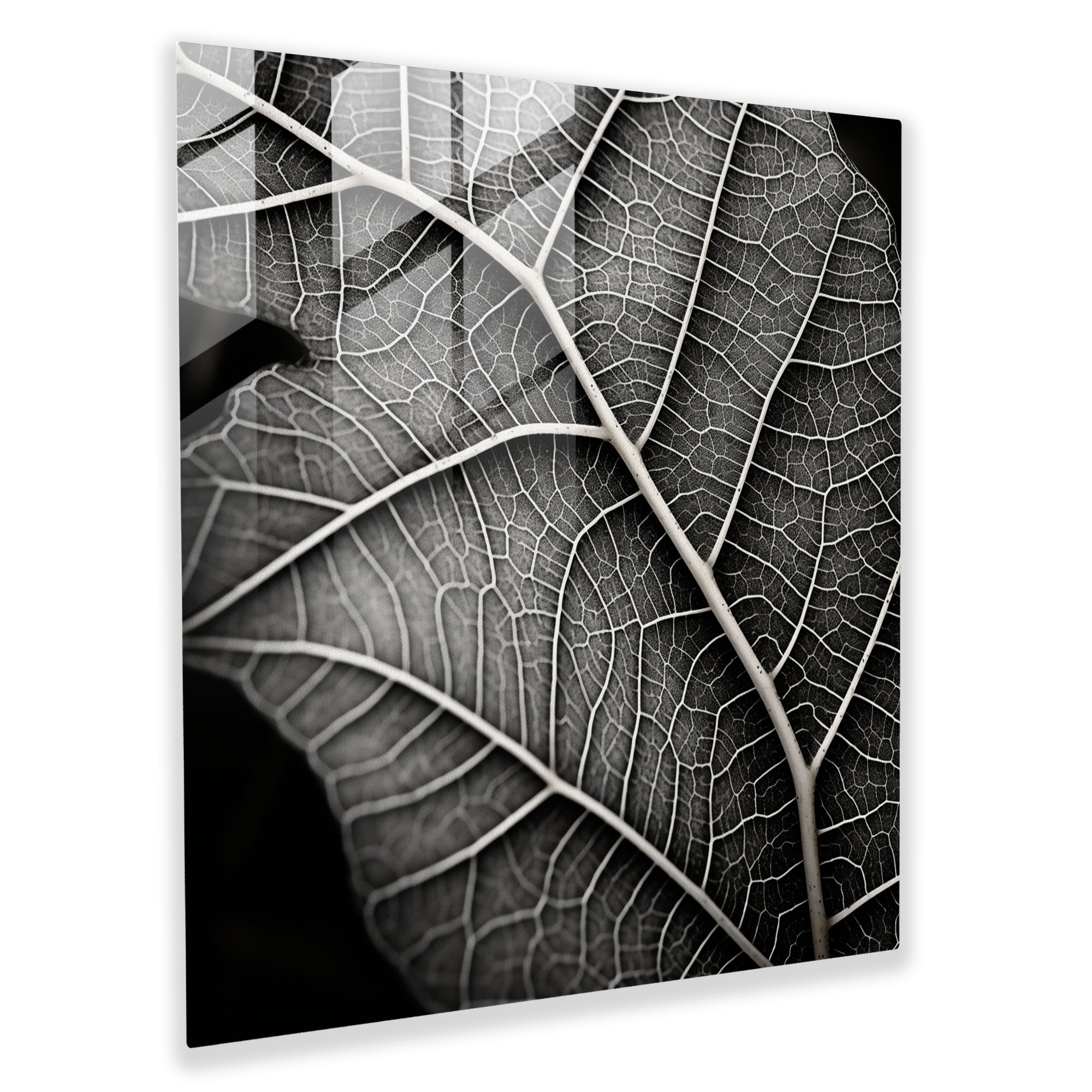 Vein Harmony Glass Print - Leaves, Black And White Filter, Glass Wall Art, Wall Decoration