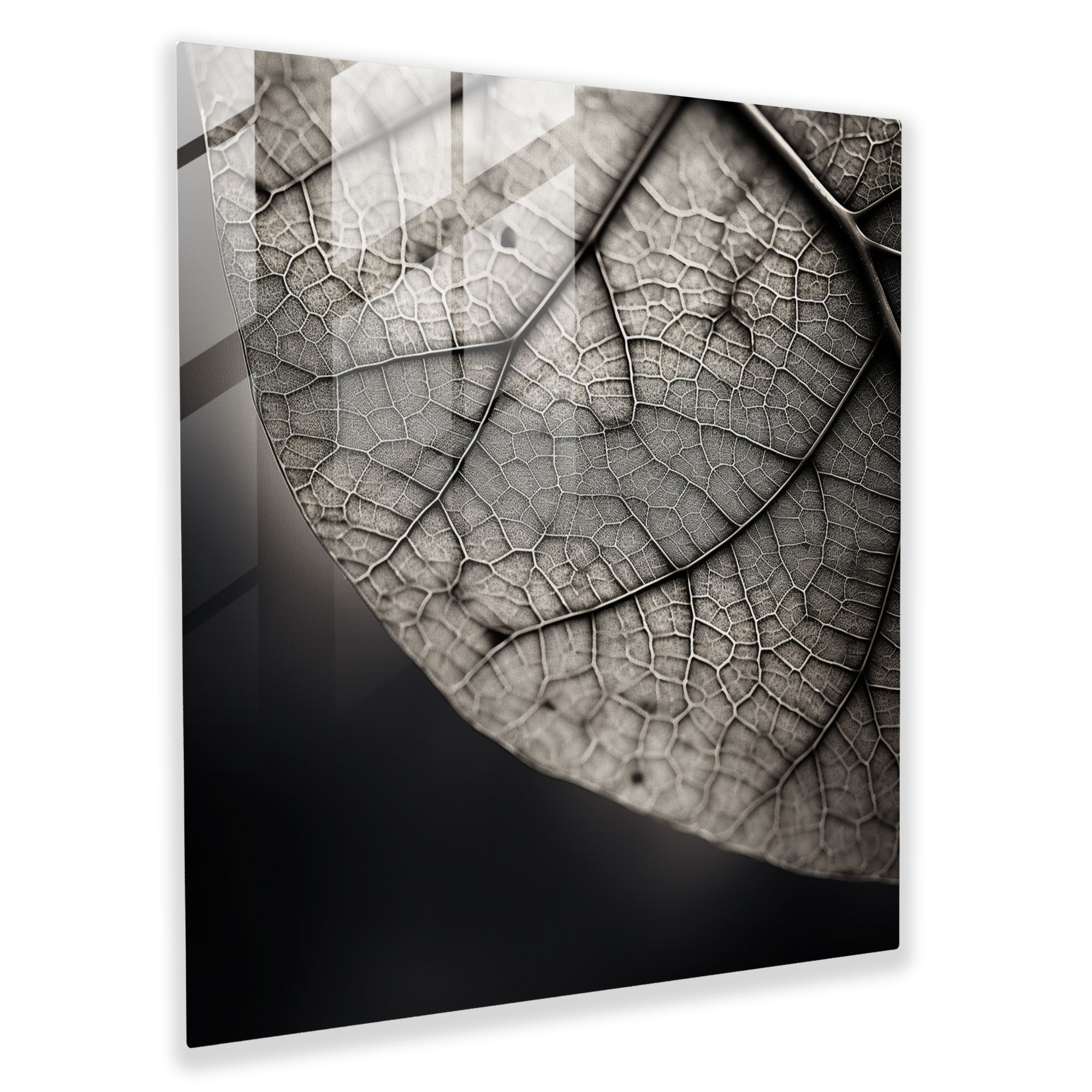 Feingliedriges Blattglasbild - Blätter Glaswandkunst minimalistische Fotografie moderne Kunst