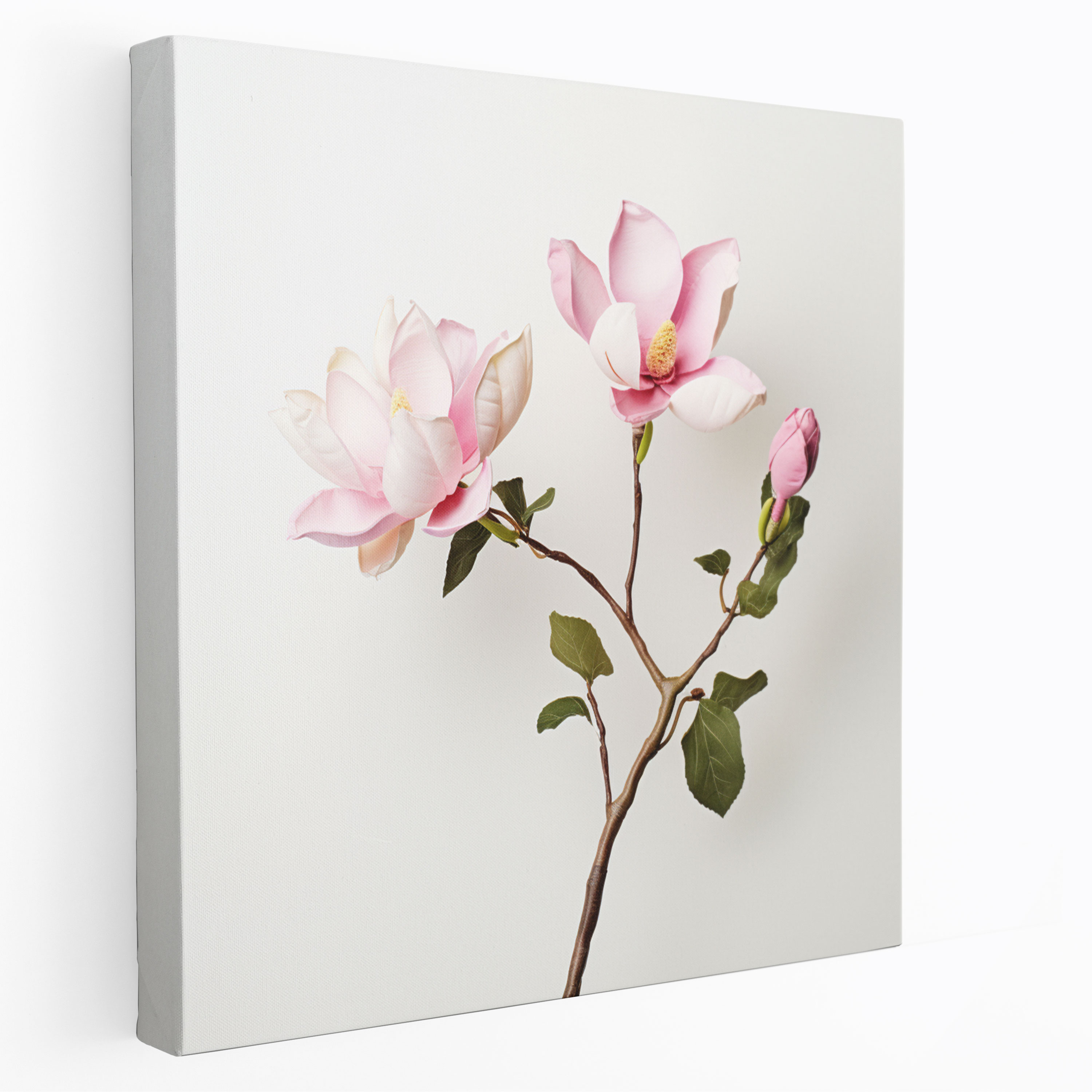 Magnolia Canvas Print - Magnolia, Canvas Print, Flower, Home Decoration