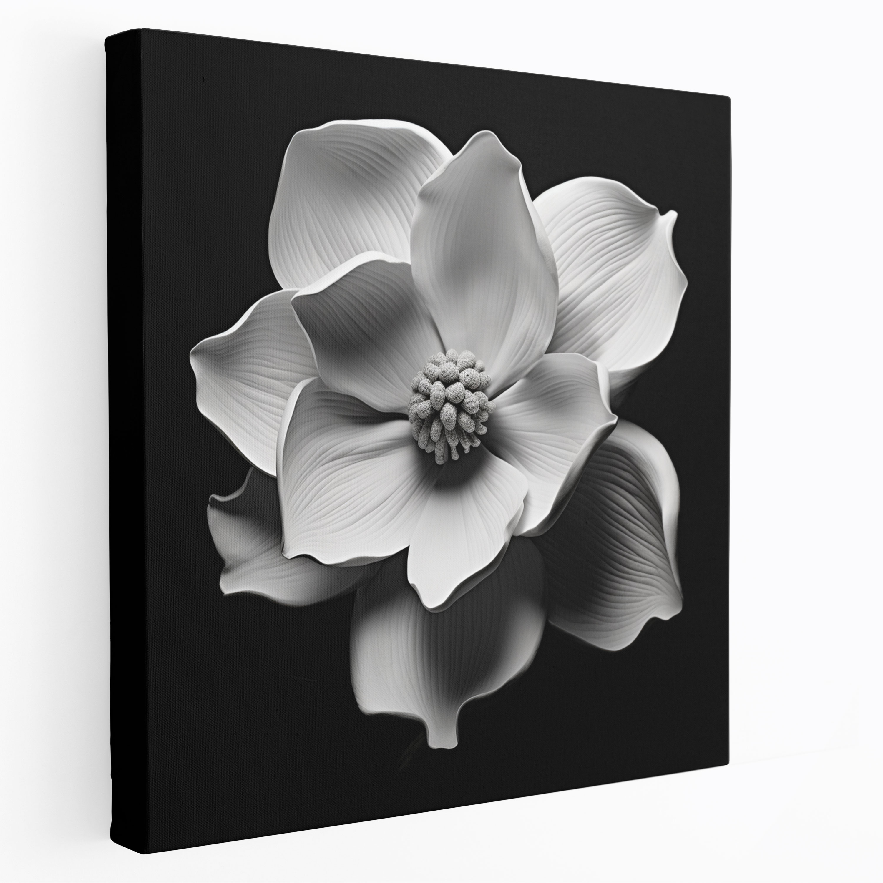 Monochrome Magnolia Wall Art - Magnolia, Wall Decoration, Wall Art, Home Decoration