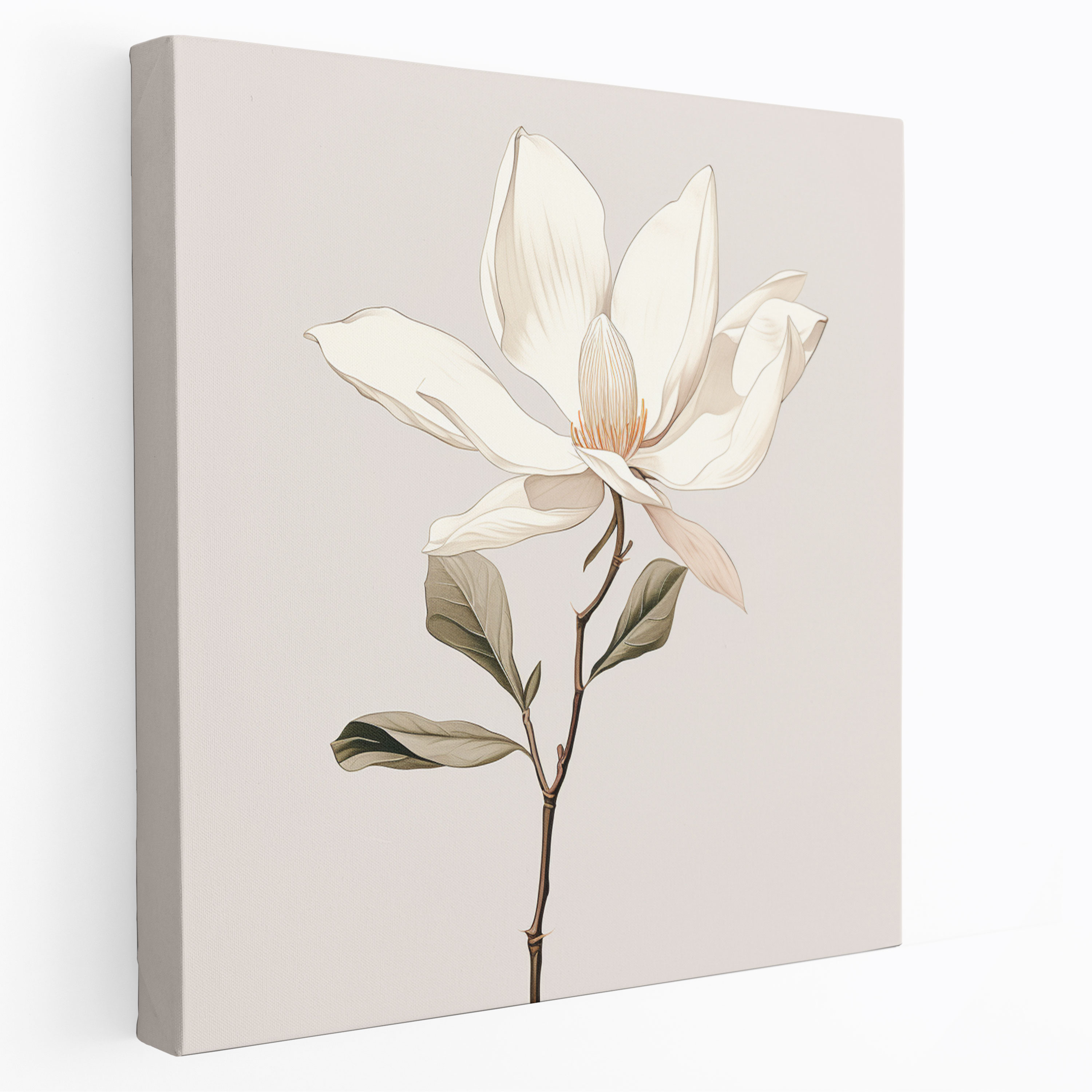 Elegant Magnolia Canvas Print - Minimalistic Wall Art - Magnolia, Magnolia, Wall Decoration, Clean Lines