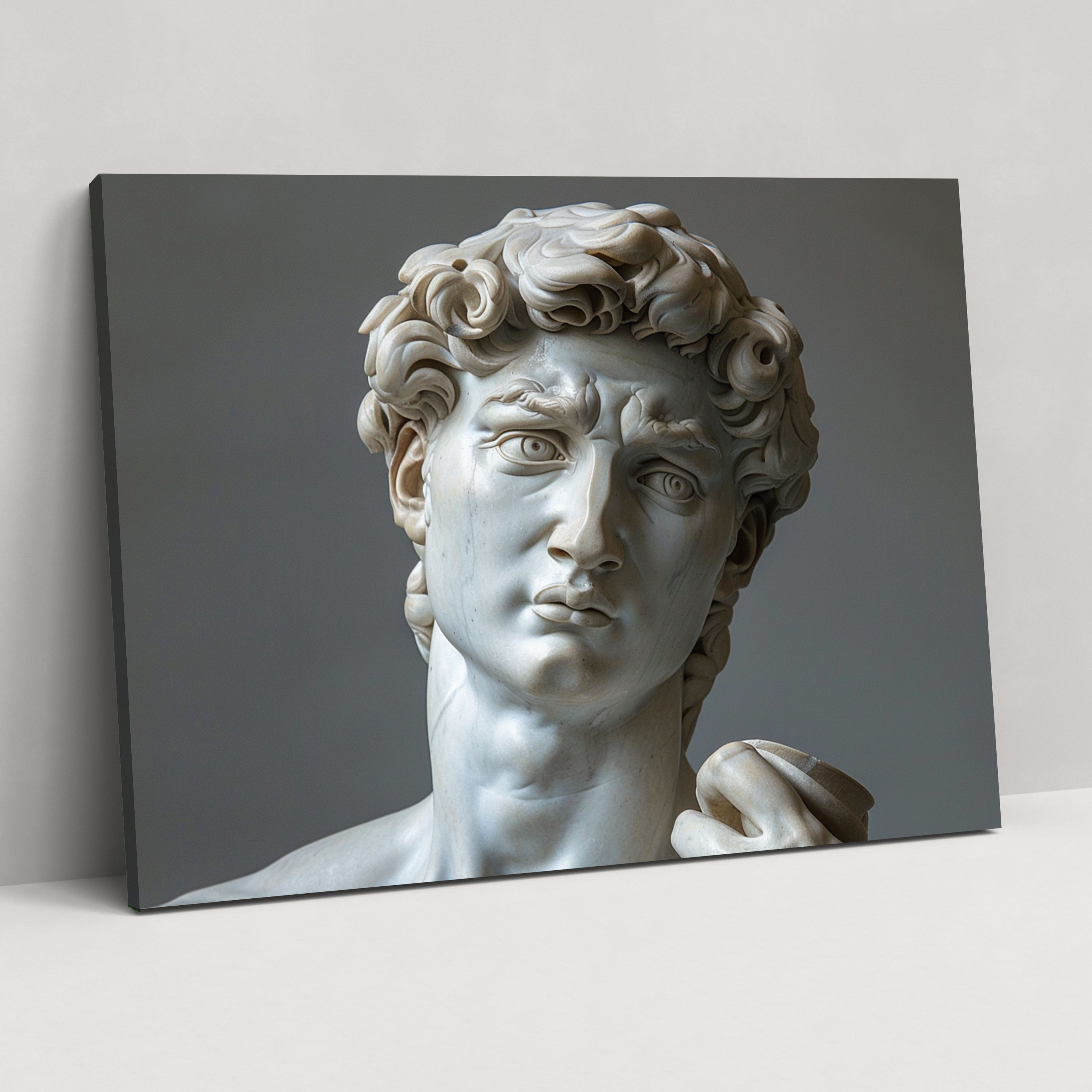 Michelangelo Canvas Print - Michelangelo, Home Decoration, Canvas Wall Art, Michelangelo