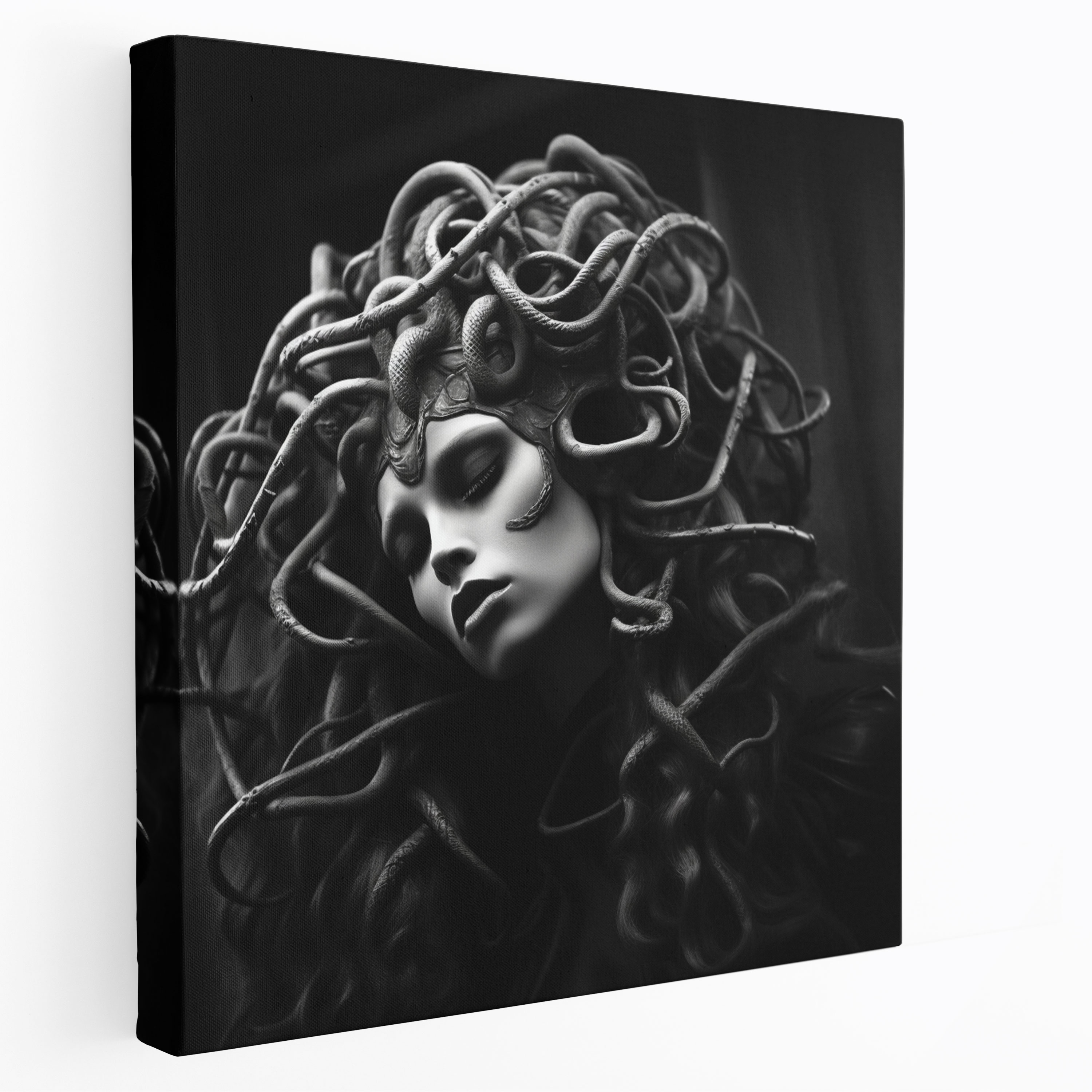 Medusa Classic Canvas Print - Medusa, Canvas Print, Wall Art, Canvas