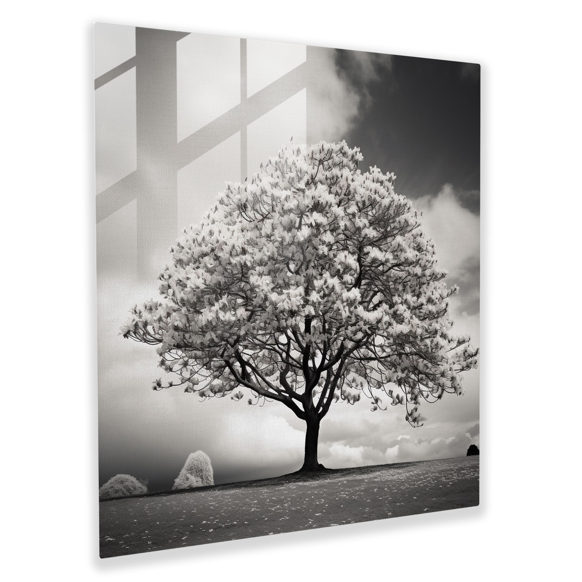 Majestic Magnolia Glass Print - Magnolia, Home Decoration, Glass Wall Art, Glass Print