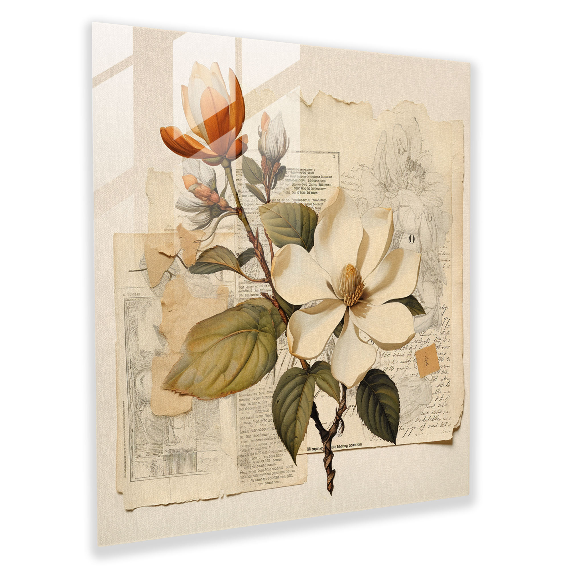 Vintage Magnolia Glass Print - Magnolia, Glass Print, Glass Wall Art, Modern Art