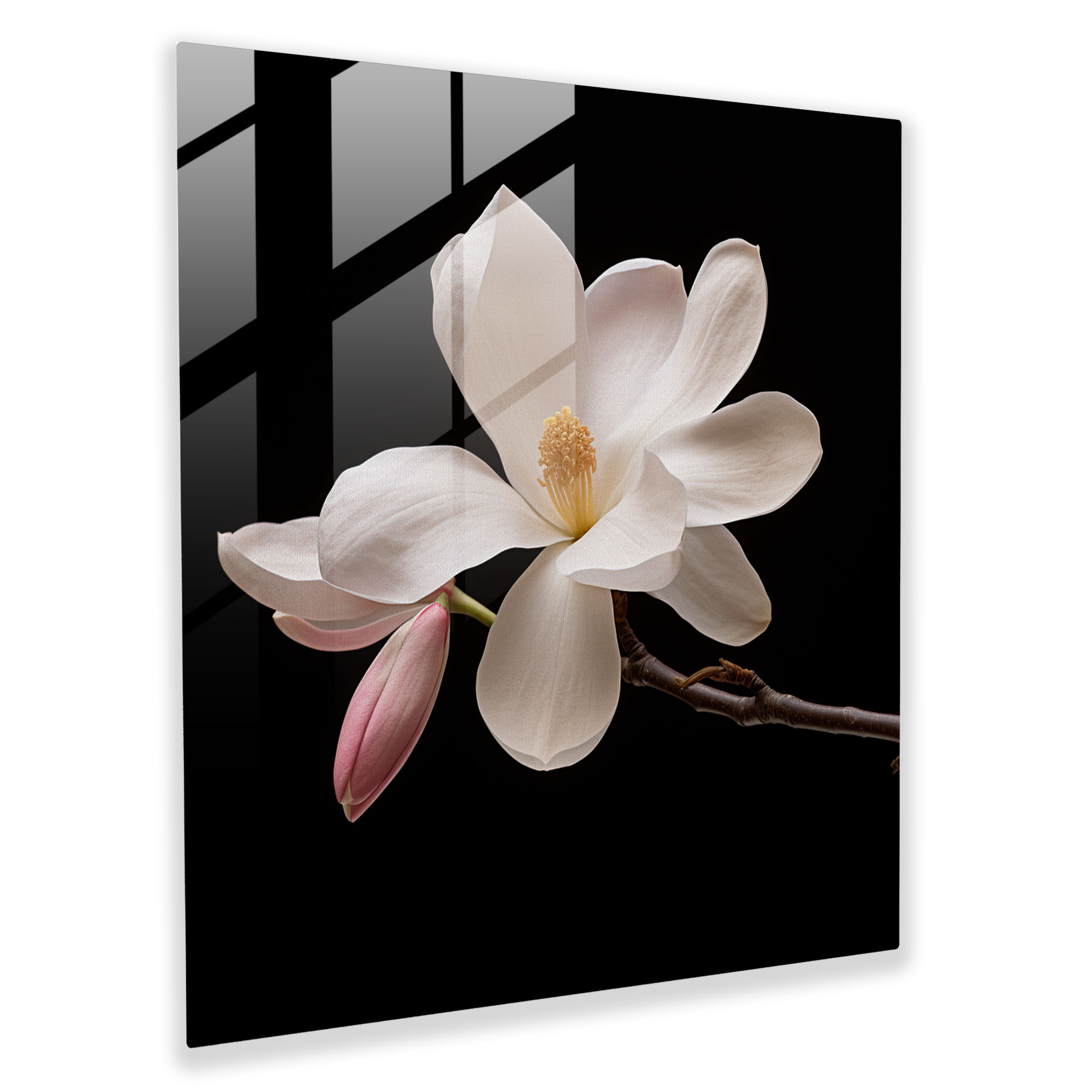 Magnolia Minimalism Glass Print - Magnolia, Close-Up Shot, Home Decoration, Glass Wall Art