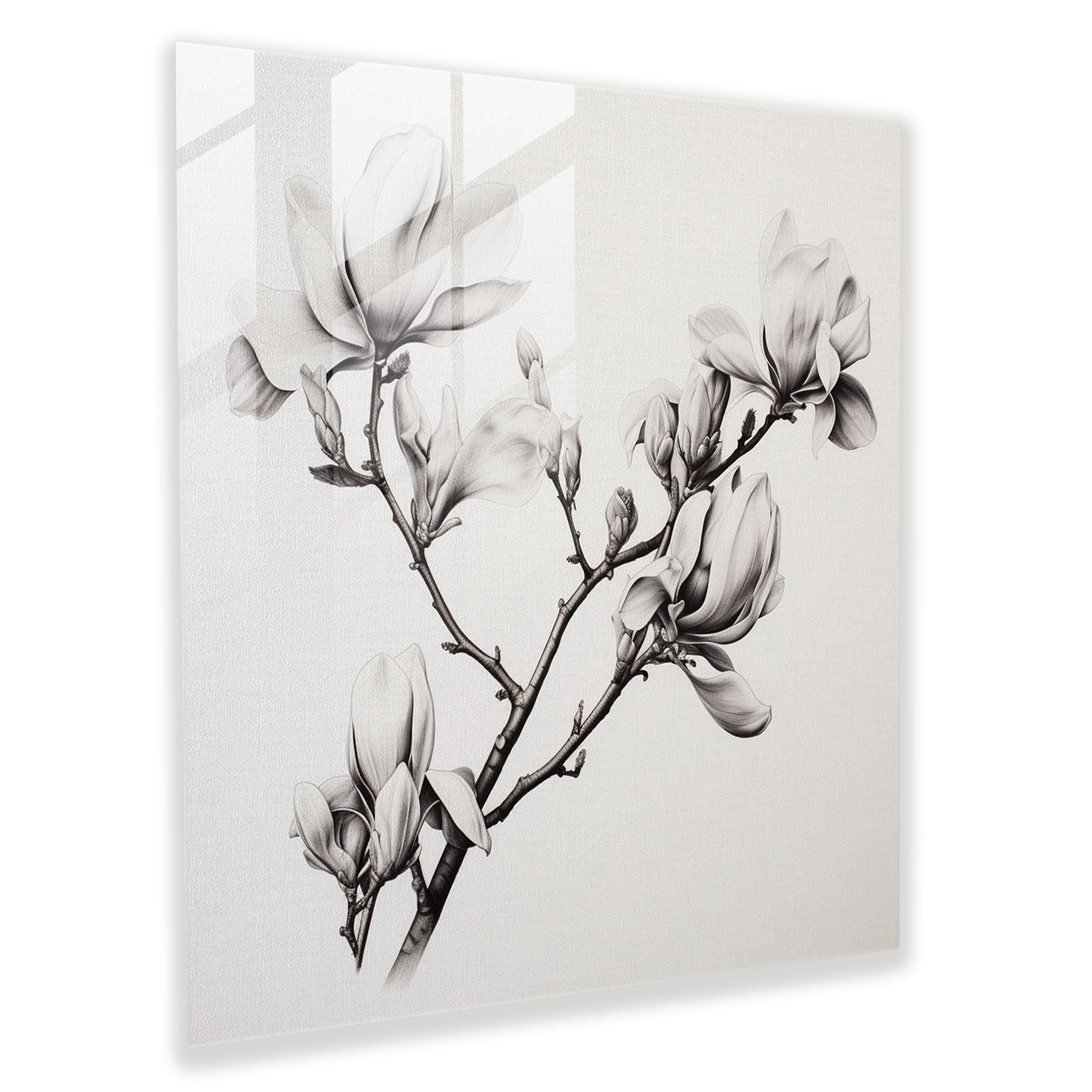 Magnolia Charcoal Sketched Glass Print - Magnolia, Wall Decoration, Elegance, Intricate Shading
