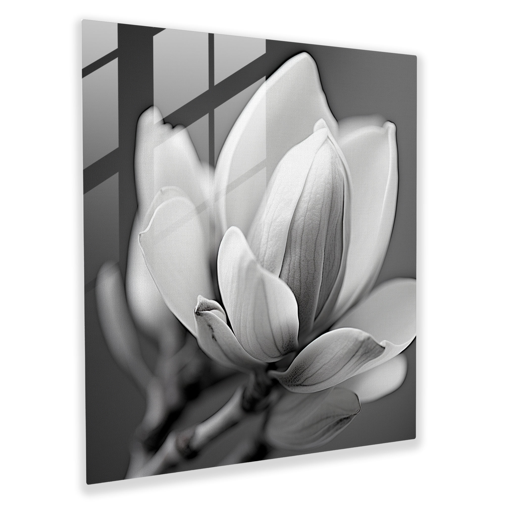Monochrome Magnolia Glass Print - Magnolia, Monochrome, Glass Wall Art, Magnolia