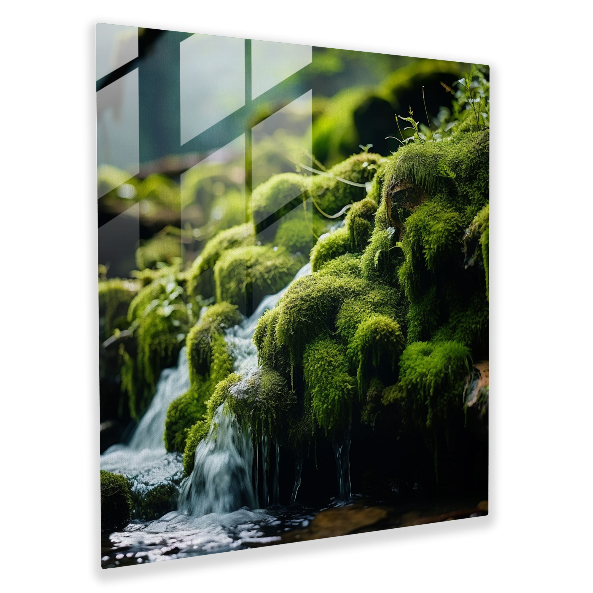 Tranquil Moss Glass Print - Moss, Tranquility Of Nature, Modern Art, Glass Art