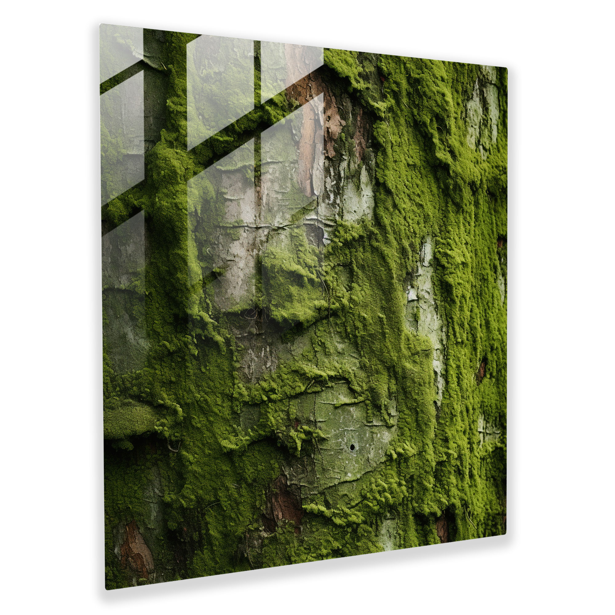 Vibrant Moss Glass Print - Moss, Glass Print, Organic Patterns, Wall Decoration