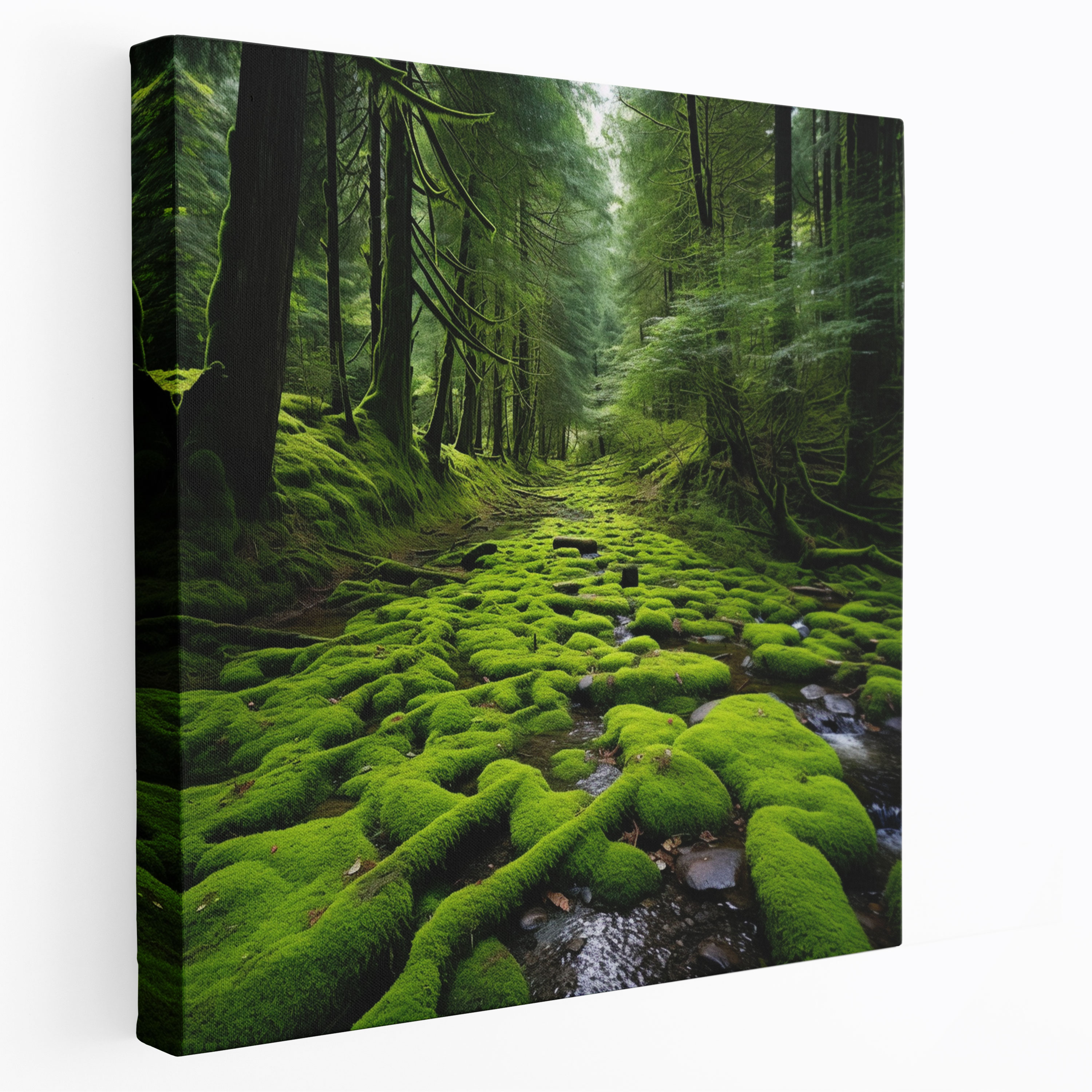Mesmerizing Moss Carpet Wall Decoration - Moss, Moss, Forest, Wall Decoration