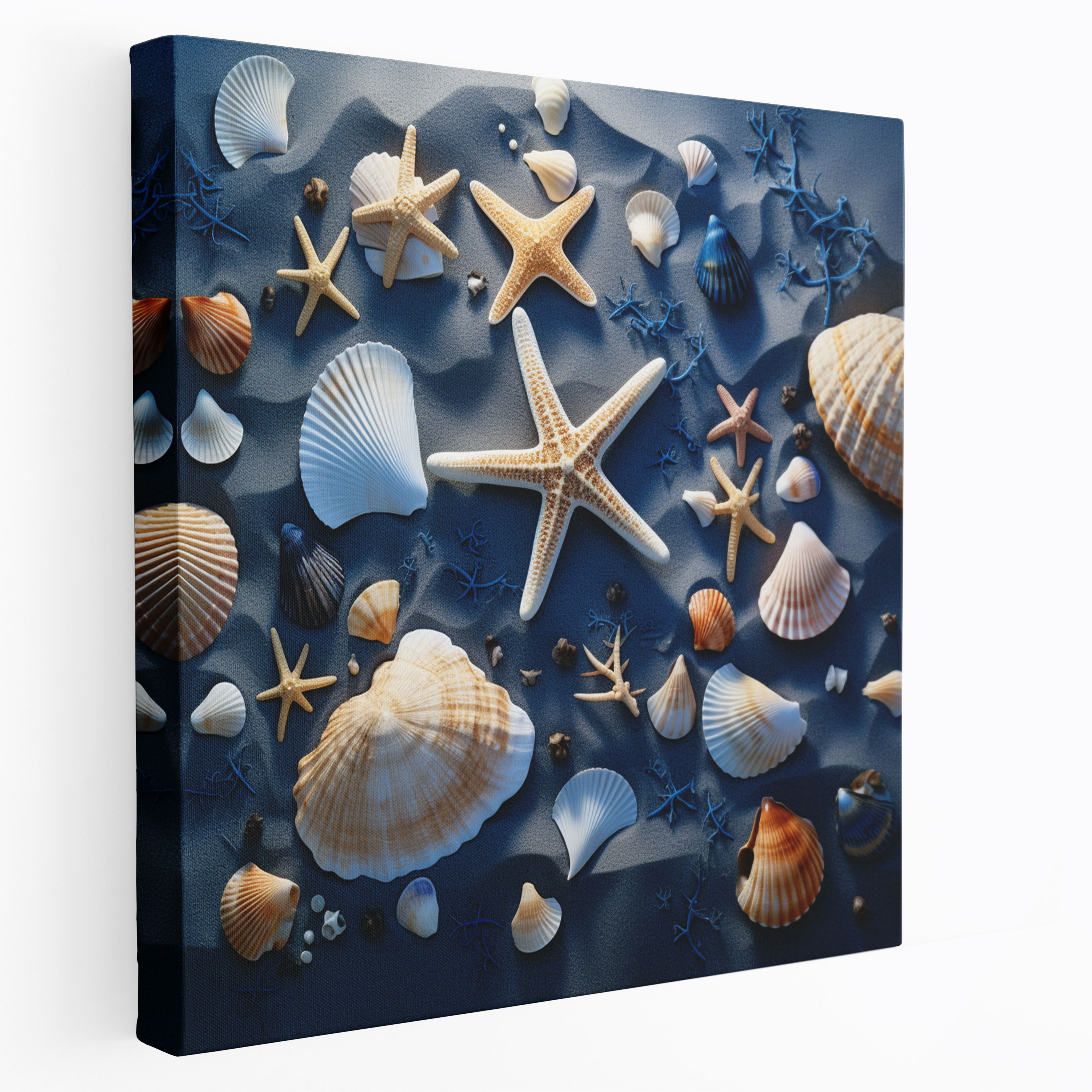 Navy Beach Seashells Canvas Print - Navy, Wall Decoration, Canvas, Navy