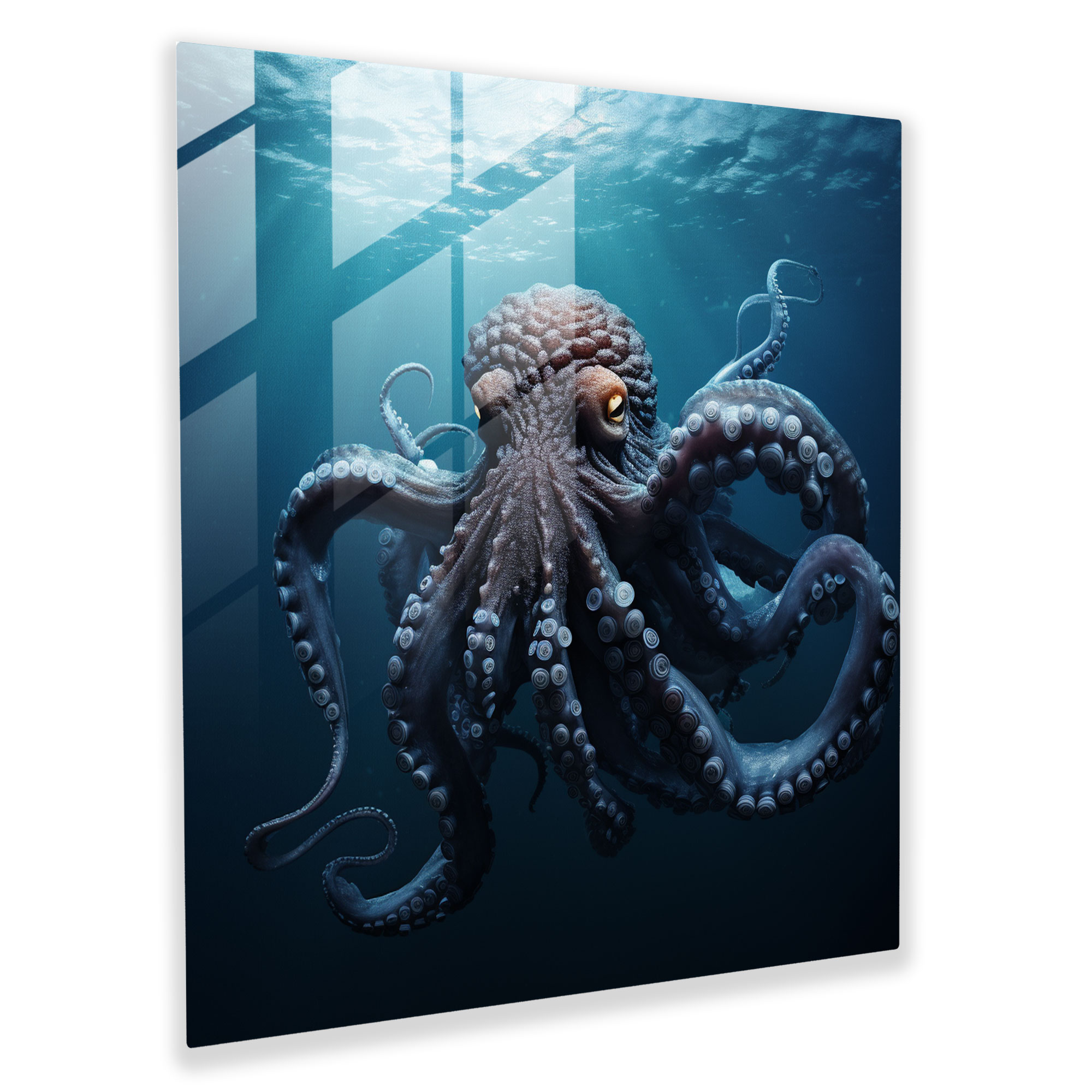 Octopus Glass Print - Octopus, Modern Art, Glass Art, Glass Wall Art