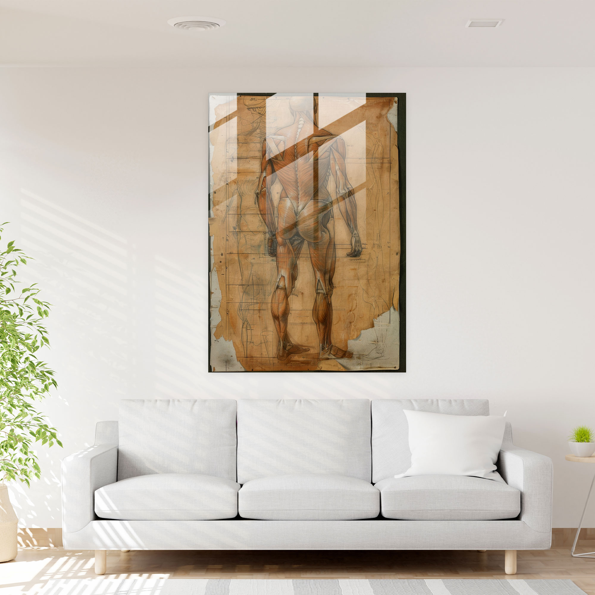Raffaello Sanzio Modern Sanat - İnsan Anatomi Cam Tablo - Duvar Sanatı Ev Dekorasyonu