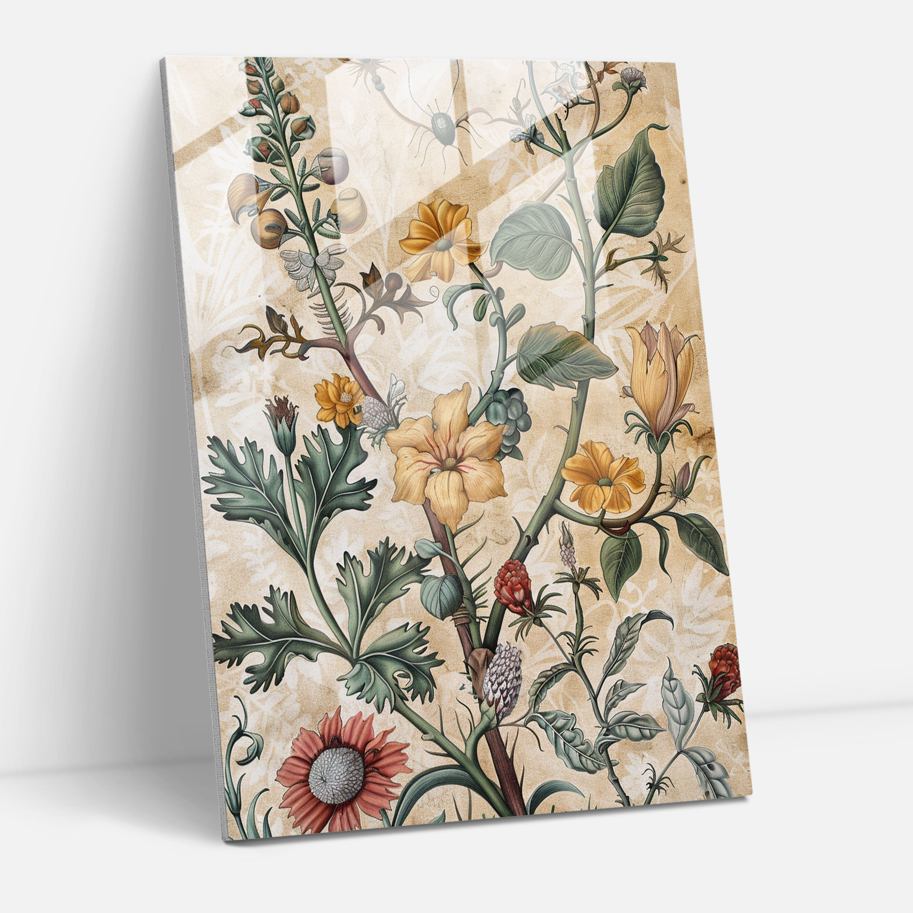 Raffaello Sanzio Glass Wall Art Wall Decoration - Raffaello Sanzio, Renaissance Illustration, Botanical Art, Wall Decoration
