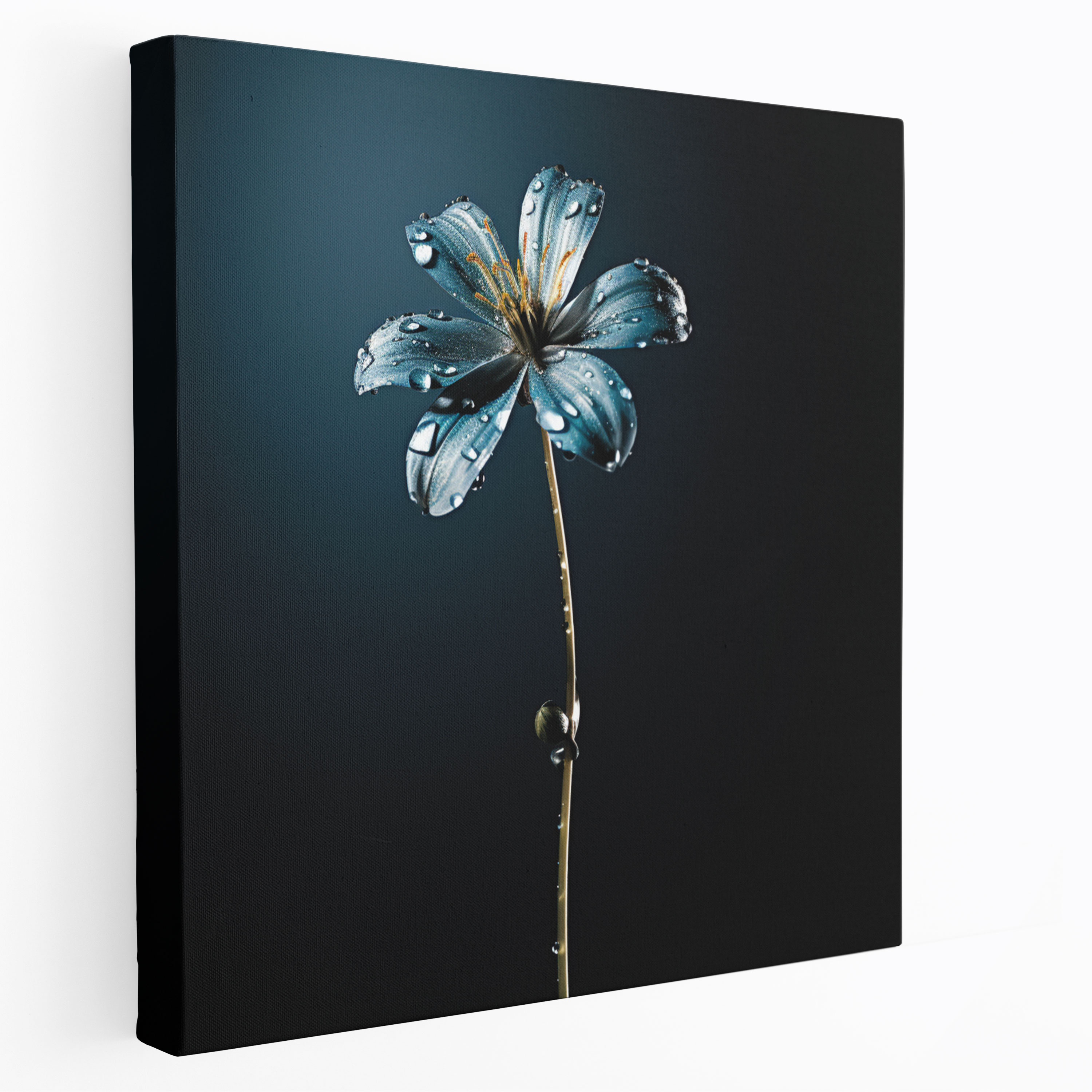 Simple Elegance Canvas Print - Rain, Wall Decoration, Raindrops, Canvas Print