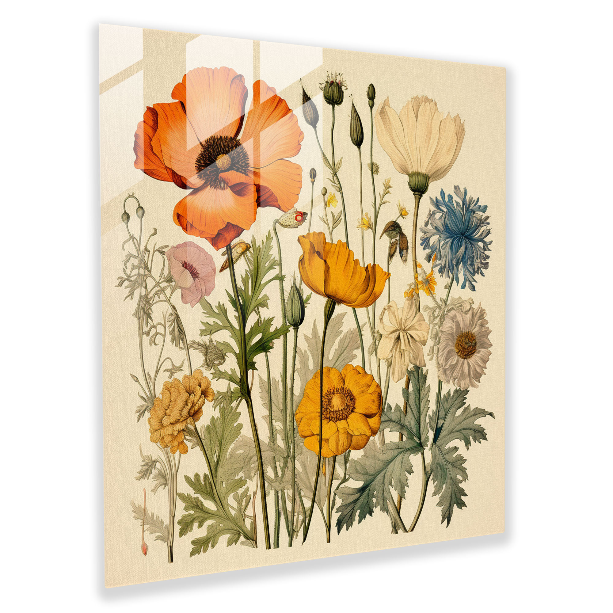 Vintage Botanical Glass Print - Glass Wall Art for Home Decoration