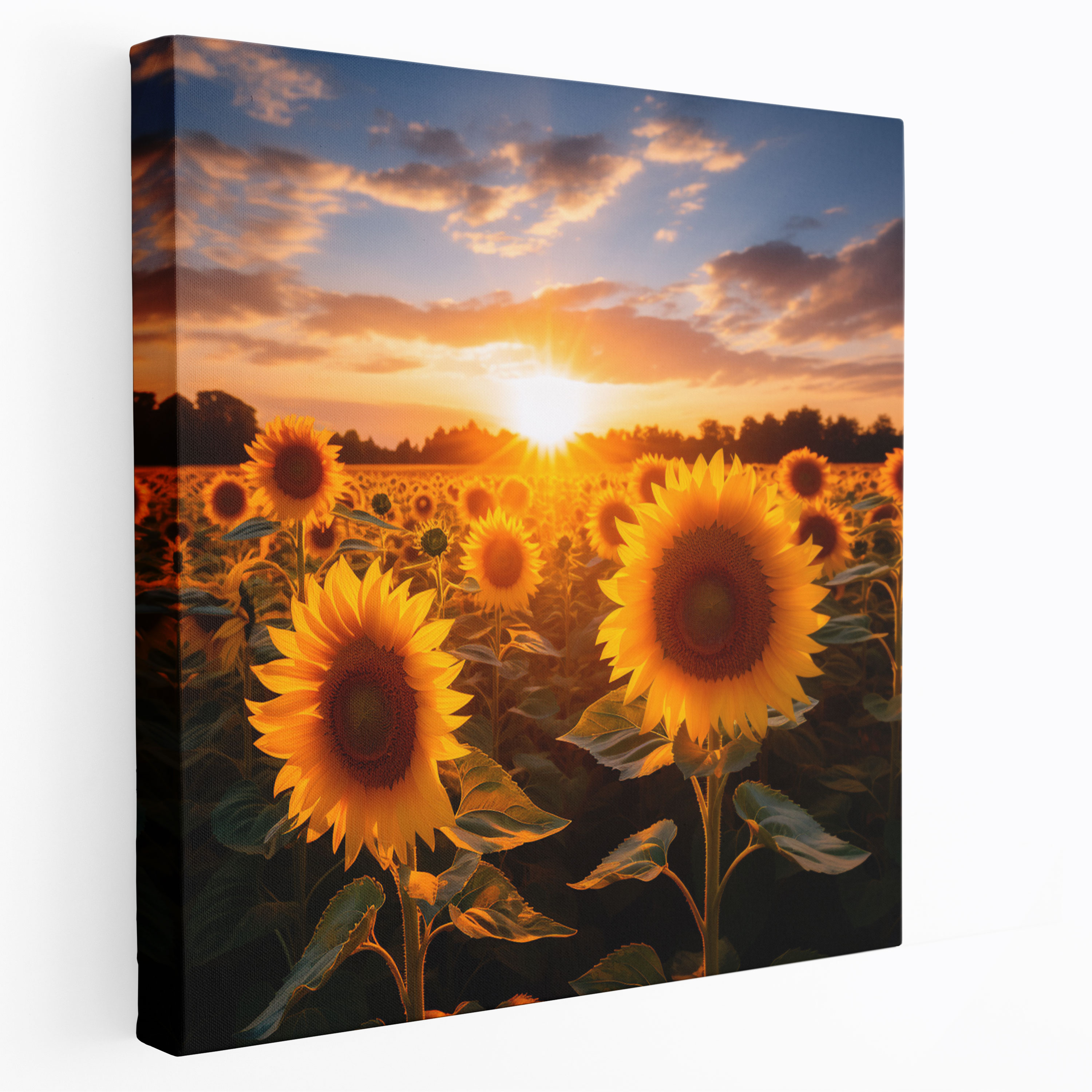 Sunrise Wall Art - Sunflower Field Canvas Print - Sunrise, Canvas Print, Positivity, Sunflowers