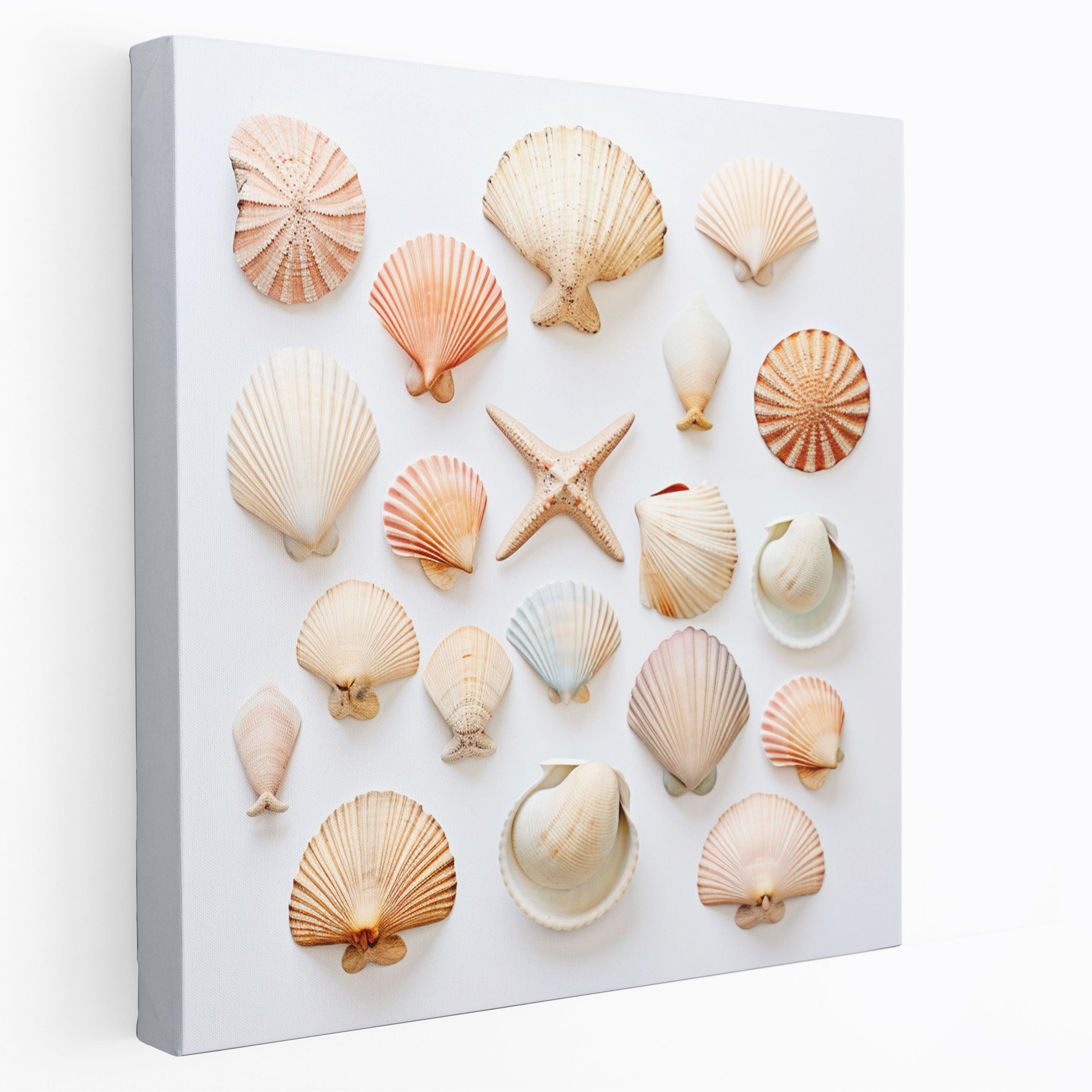 Still Life Canvas Print - Minimalistic Seashell Collection Wall Art - Still Life, Canvas Wall Art, Wall Decoration, Minimalistic Photograph