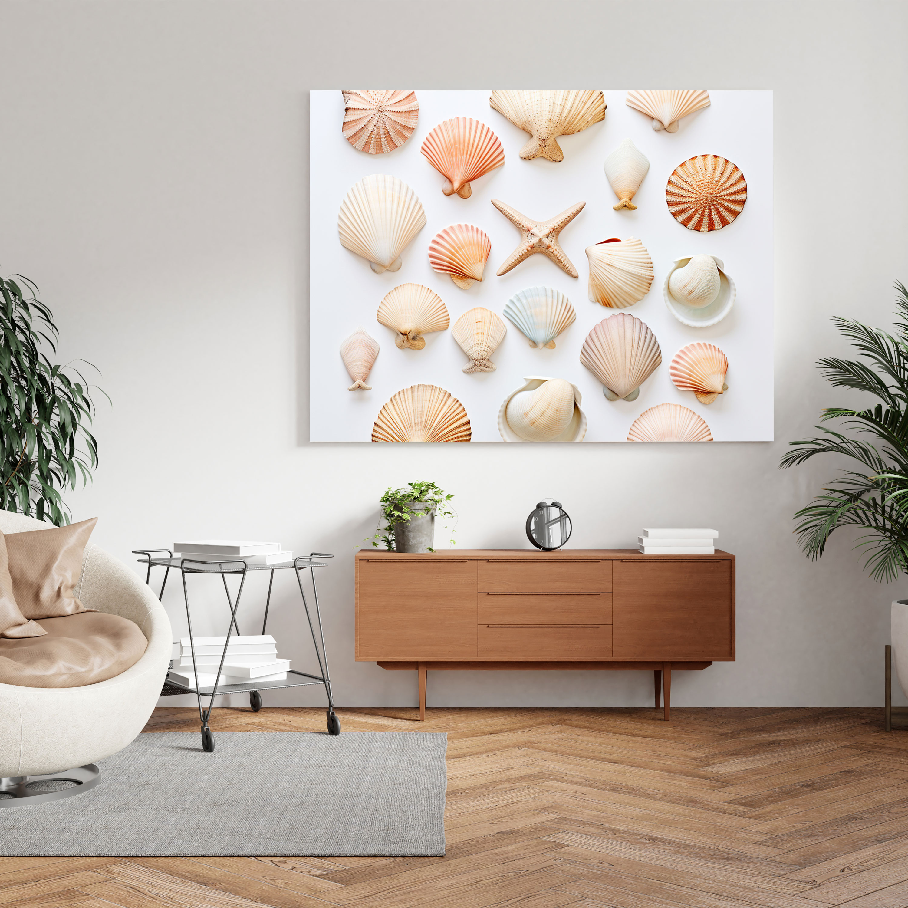 Still Life Canvas Print - Minimalistic Seashell Collection Wall Art - Still Life, Canvas Wall Art, Wall Decoration, Minimalistic Photograph