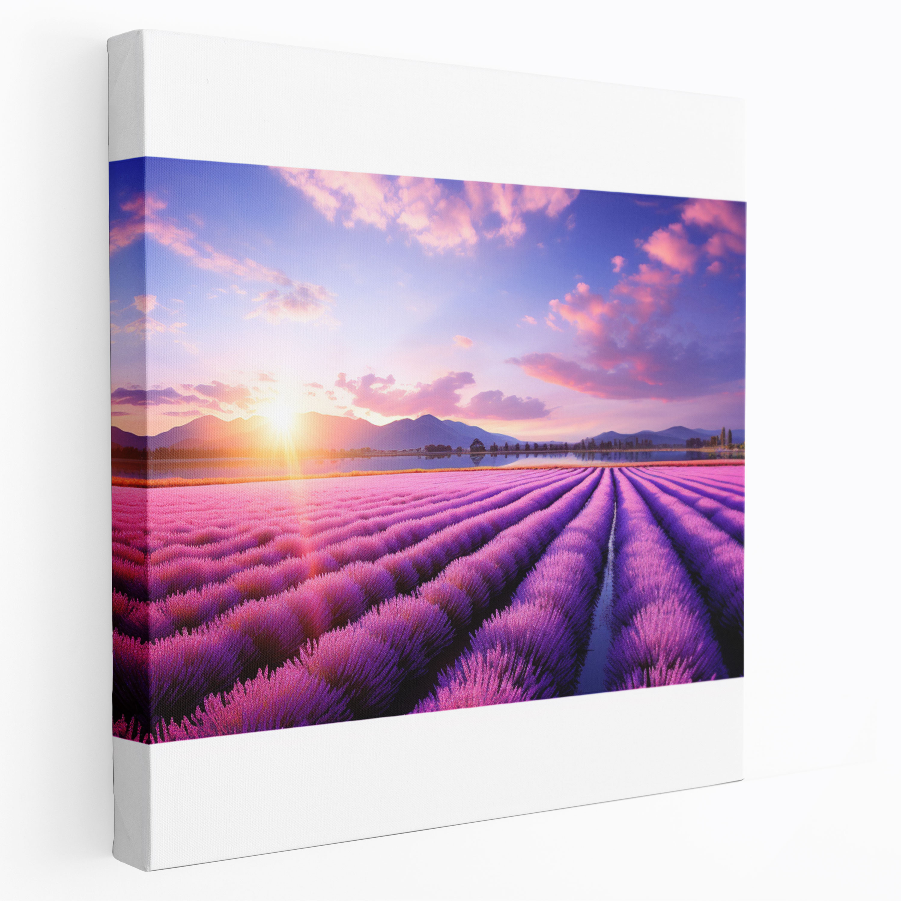The Most Beautiful Landscapes Of The World - Lavender Fields Serenity - The Most Beautiful Landscapes Of The World, Pastel-Colored Photograph, Natural Beauty, The Most Beautiful Landscapes Of The World