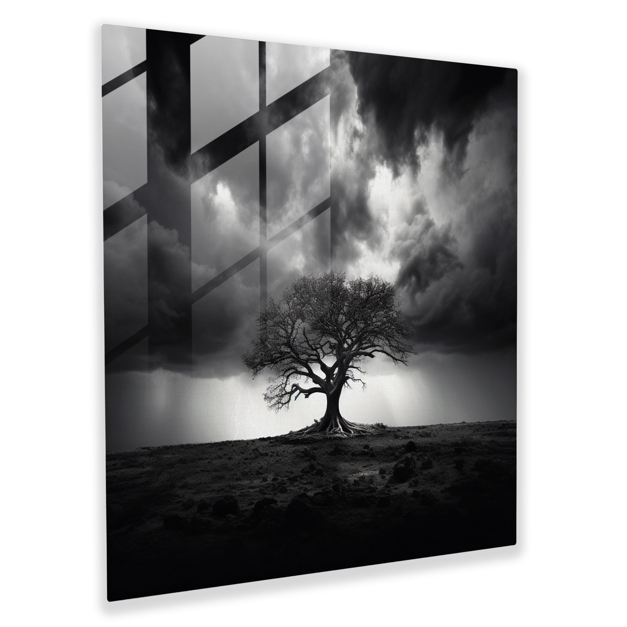 Tree Of Life Wall Art - Black And White Photography Canvas Print - Tree Of Life, Canvas Wall Art, Canvas, Wall Art