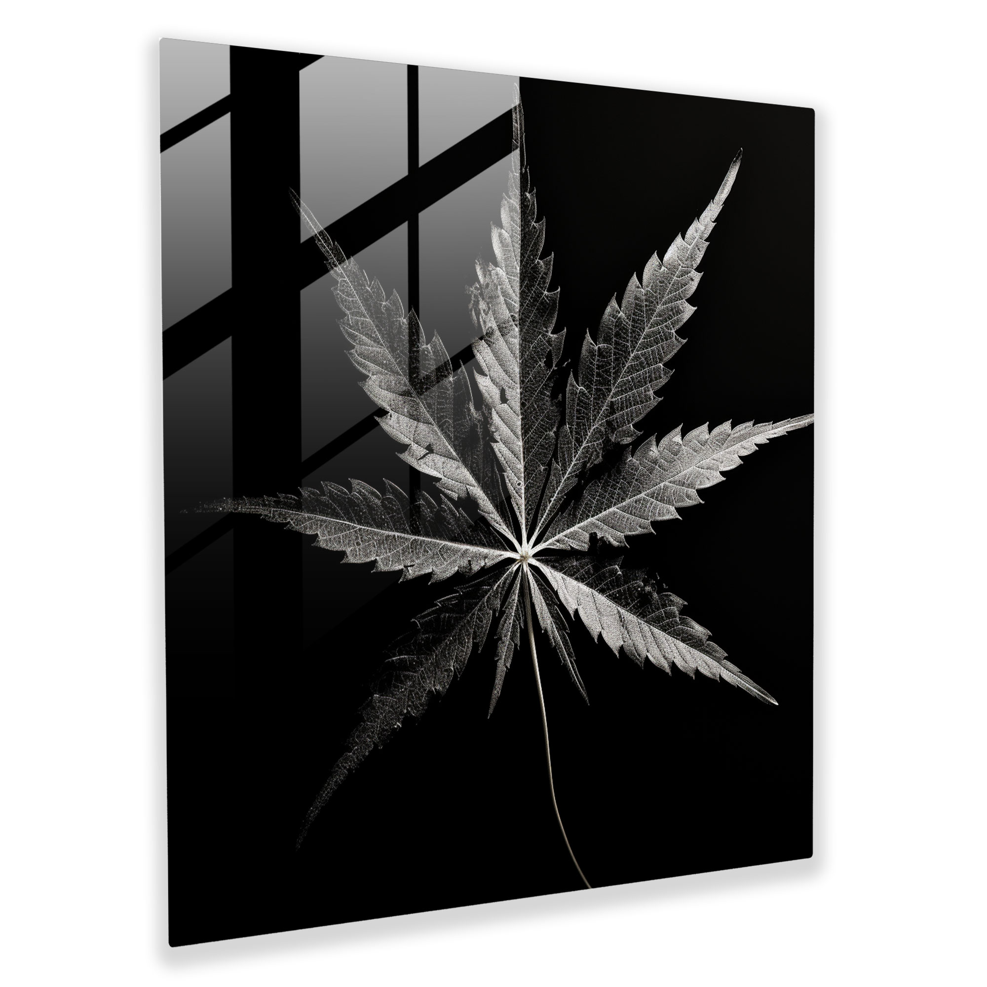 Elegant Leaf Reflection Glass Print - Weed, Black And White, Glass Print, Glass Wall Art