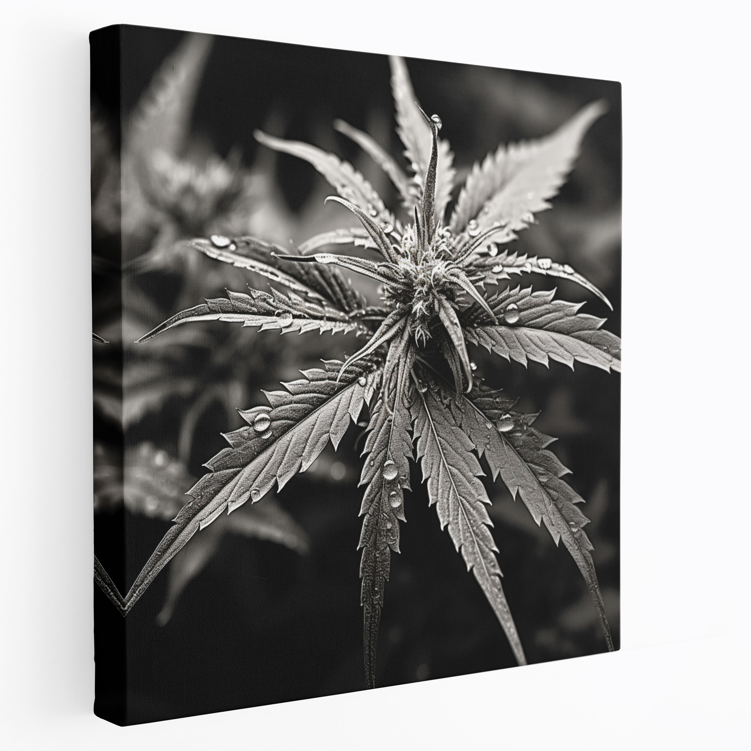 Weed Botanical Canvas Print - Weed, Black And White, Canvas Print, Wall Art