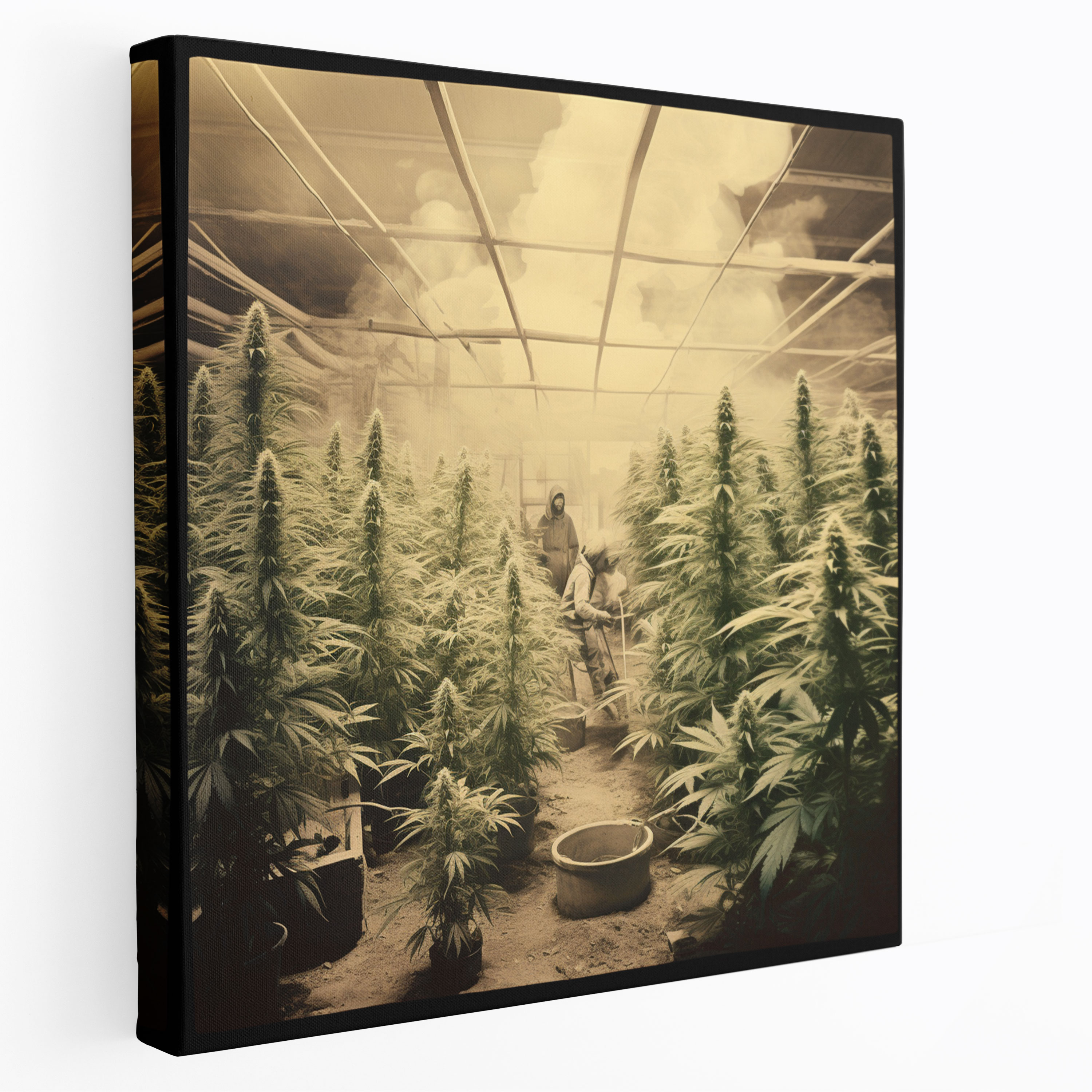 Vintage Weed Canvas Print - Weed, Nostalgic Art, Photograph, Vintage Art