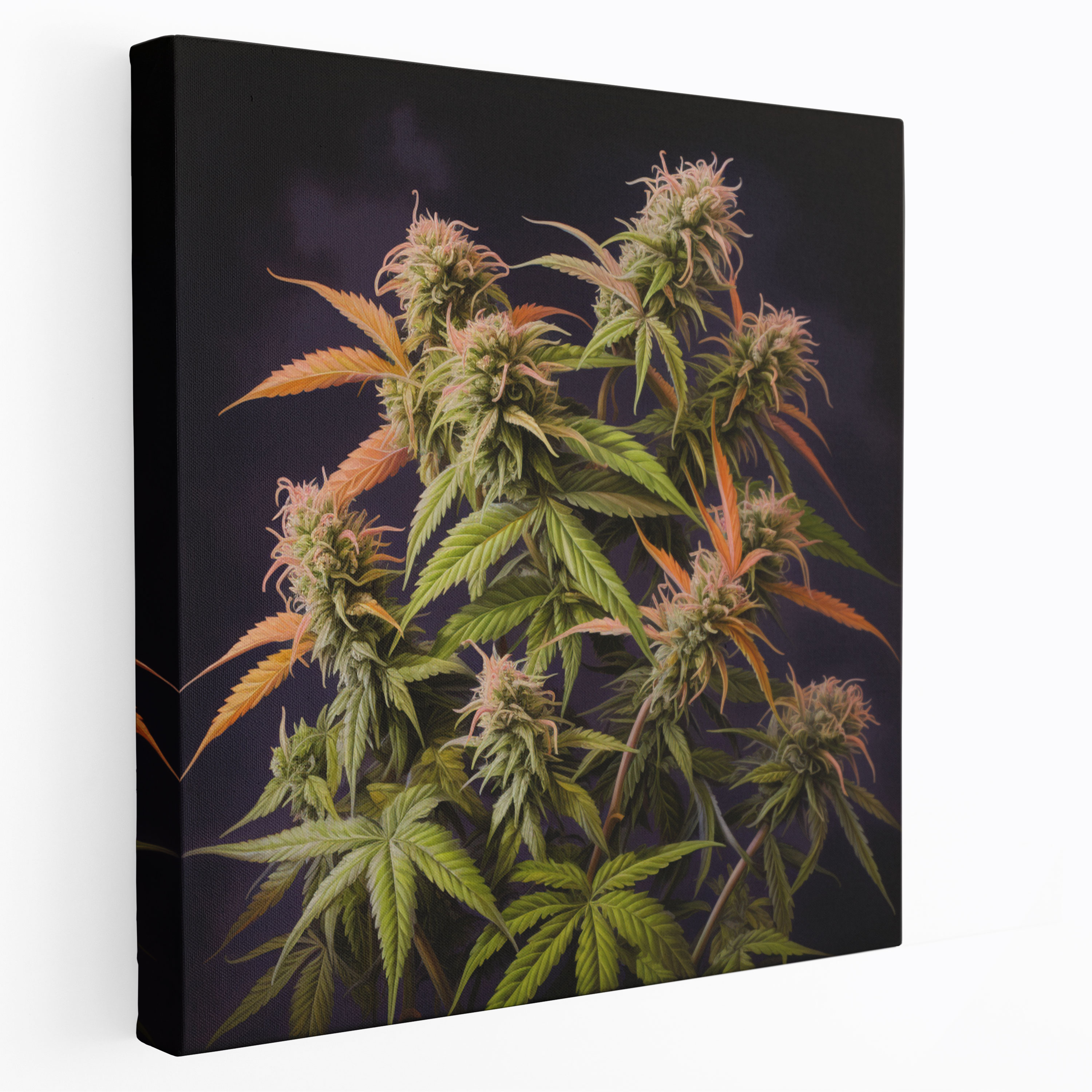 Photorealistic Weed Canvas Print - Weed, Wall Art, Canvas Print, Stages Of Growth