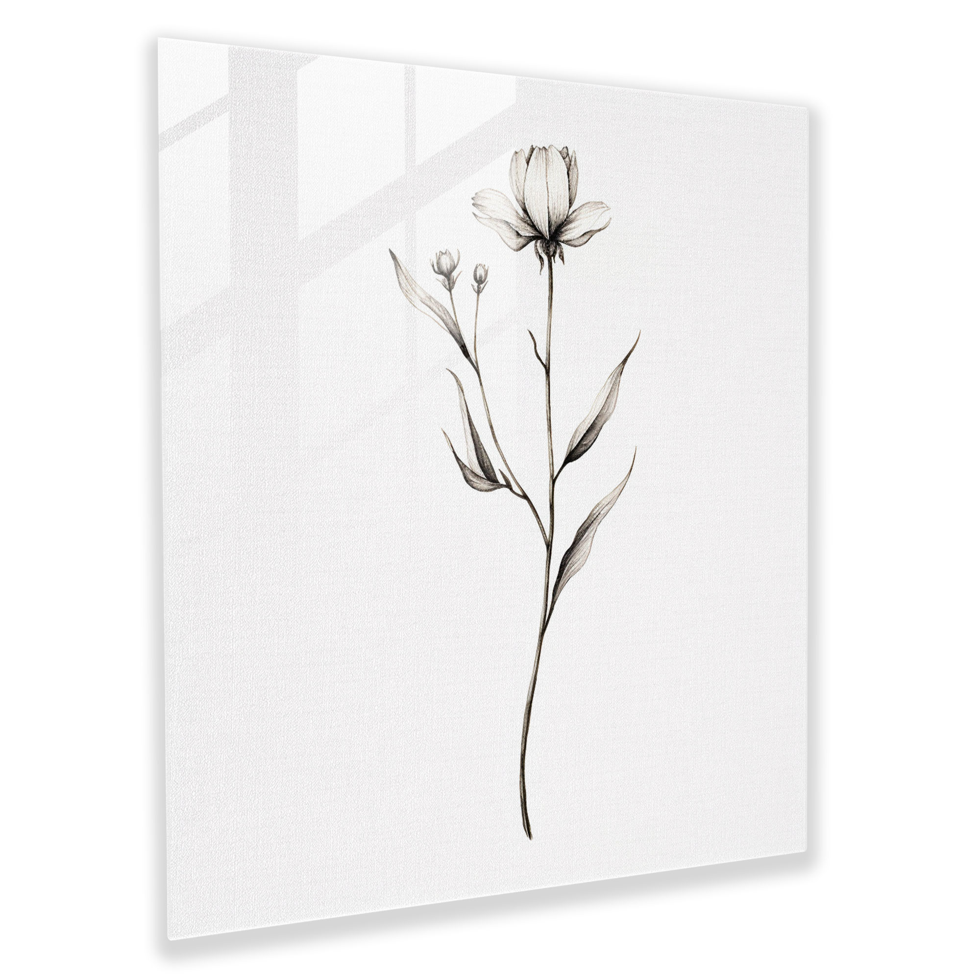 Graceful Wildflower Glass Print - Wildflower, Graceful Wildflower Stem, Minimalist Line Drawing, Glass Print